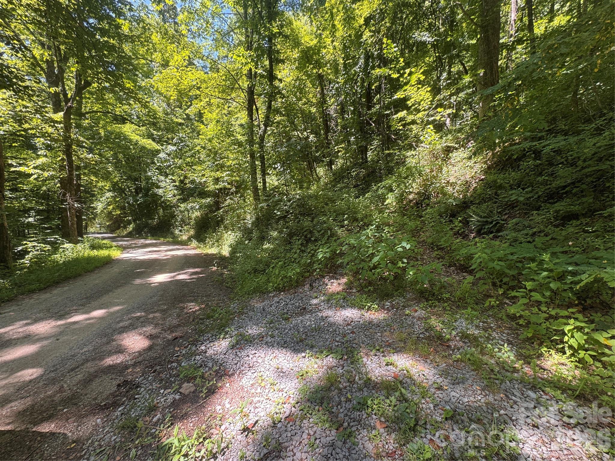 Lot at 505 Mountainside Drive, Waynesville, photo 18 of 20