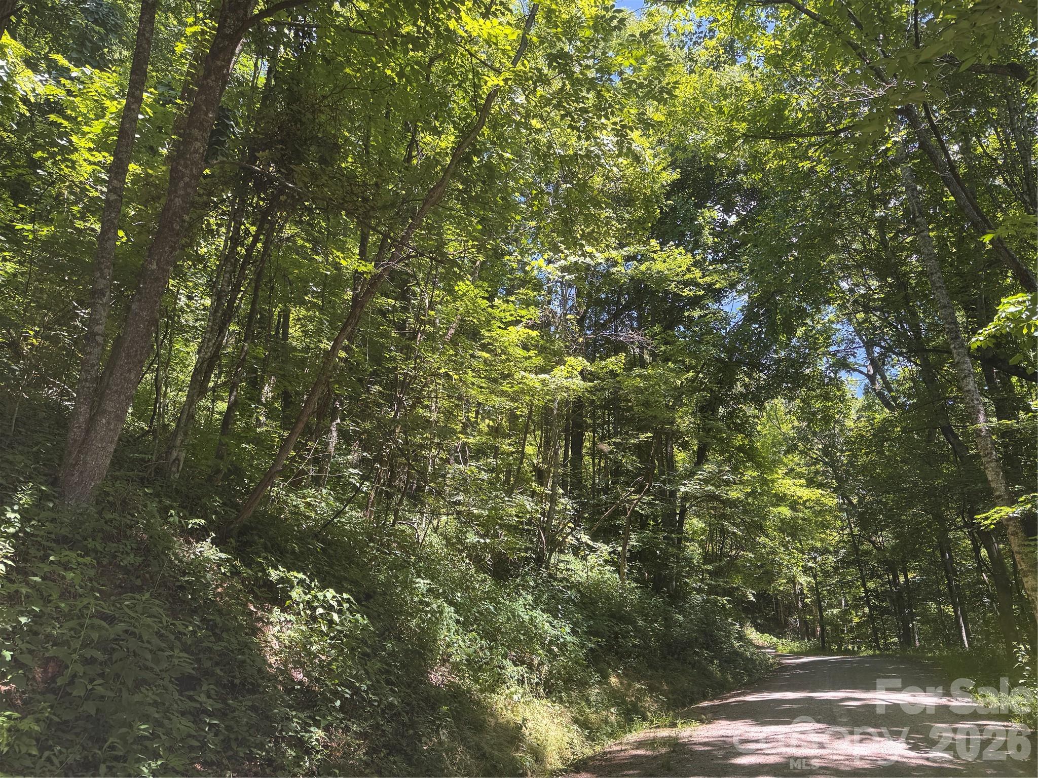 Lot at 505 Mountainside Drive, Waynesville, photo 10 of 20