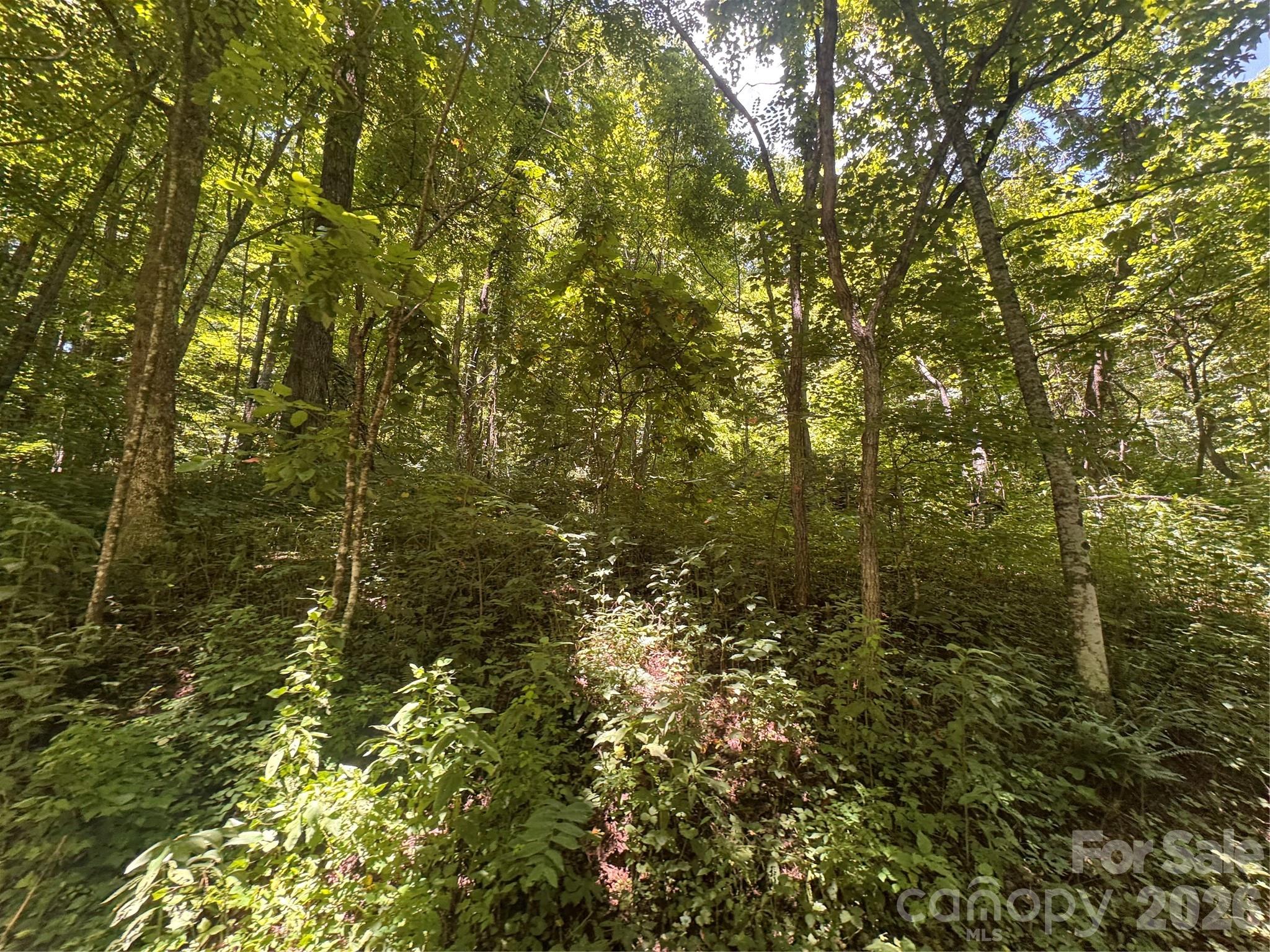 Lot at 505 Mountainside Drive, Waynesville, photo 14 of 20