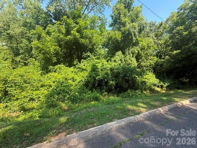 Lot at 0 Hillside Drive, Kings Mountain, photo 2 of 9