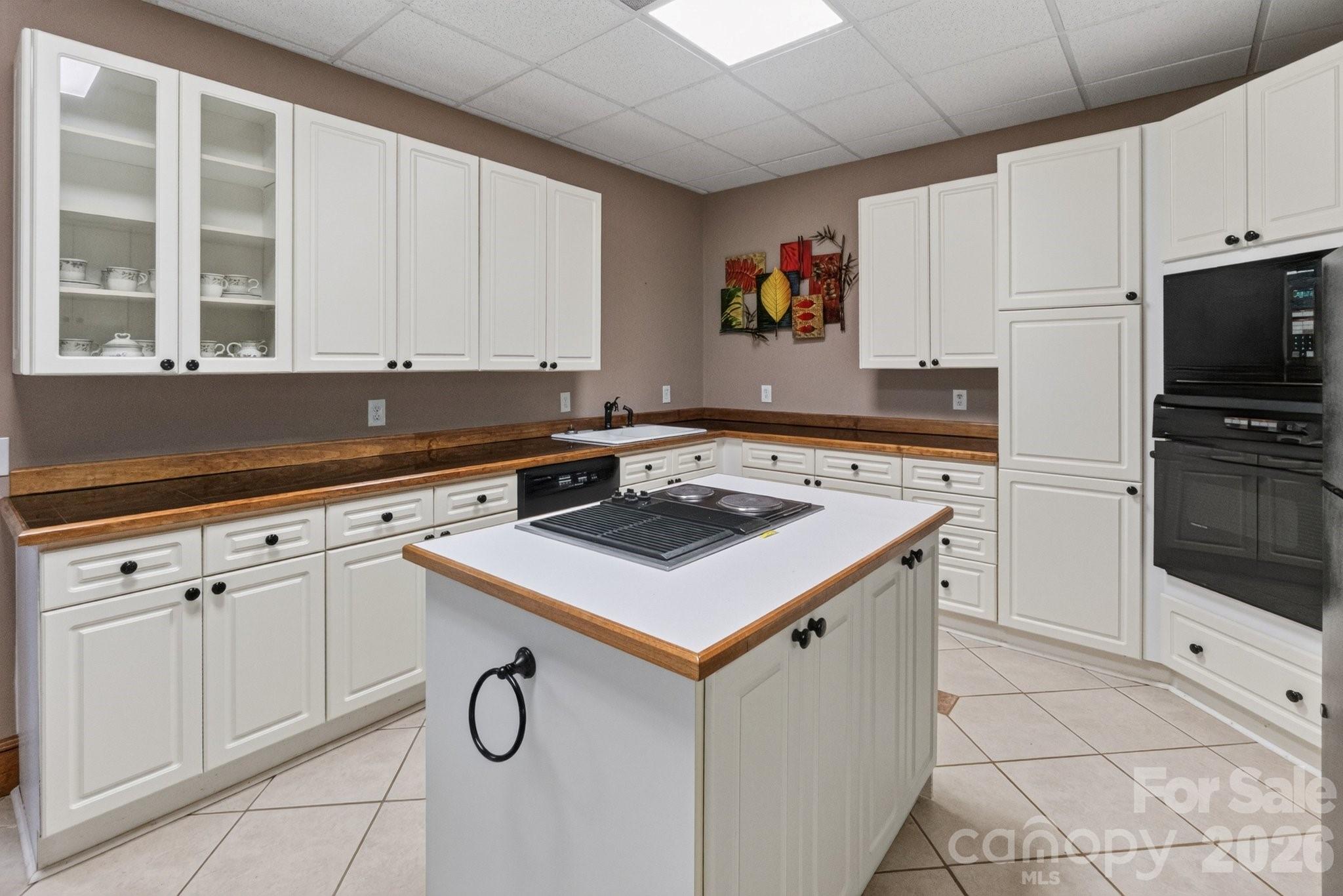 Full kitchen in basement - 105 Quail Lane, Mooresville