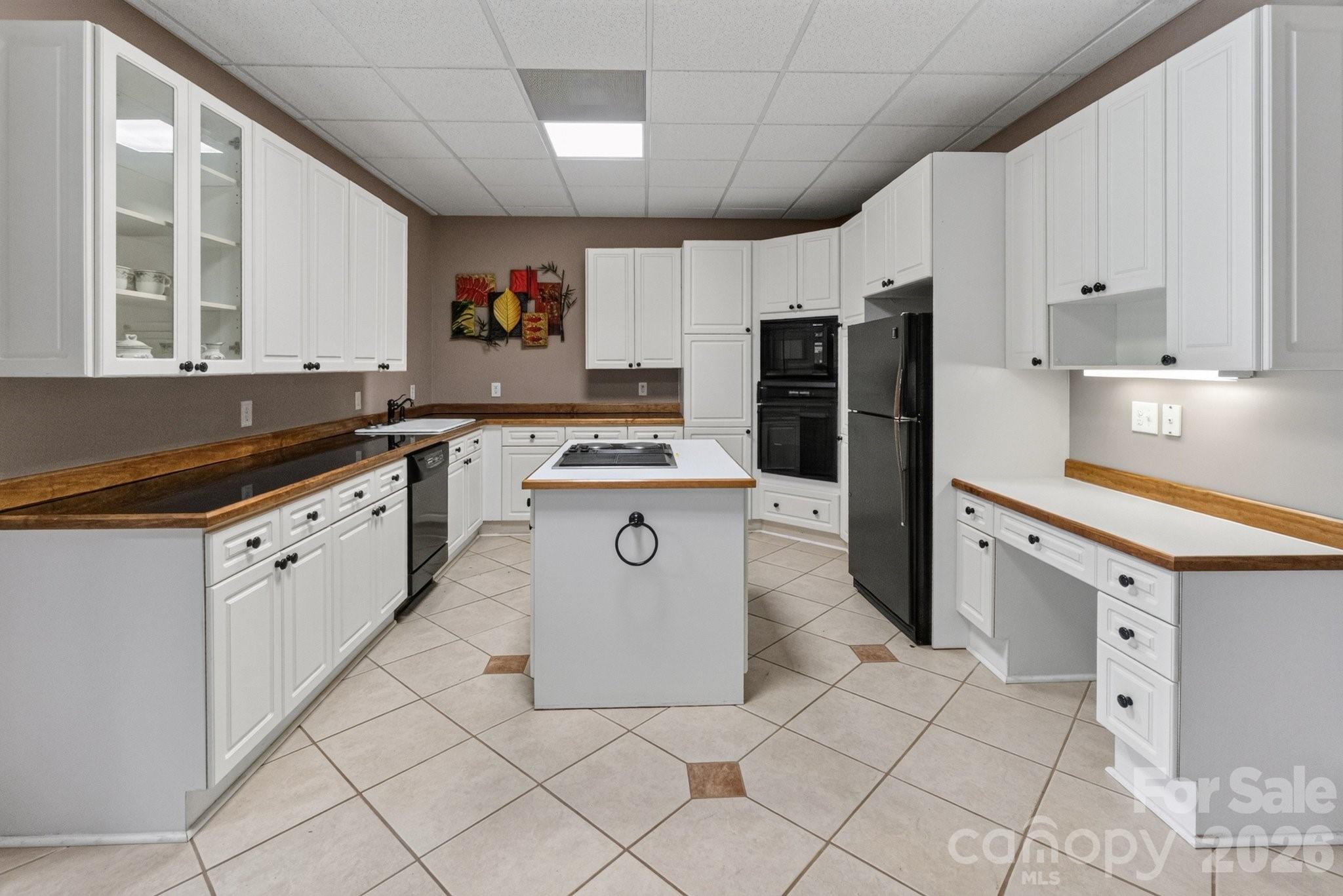 Full kitchen in basement - 105 Quail Lane, Mooresville