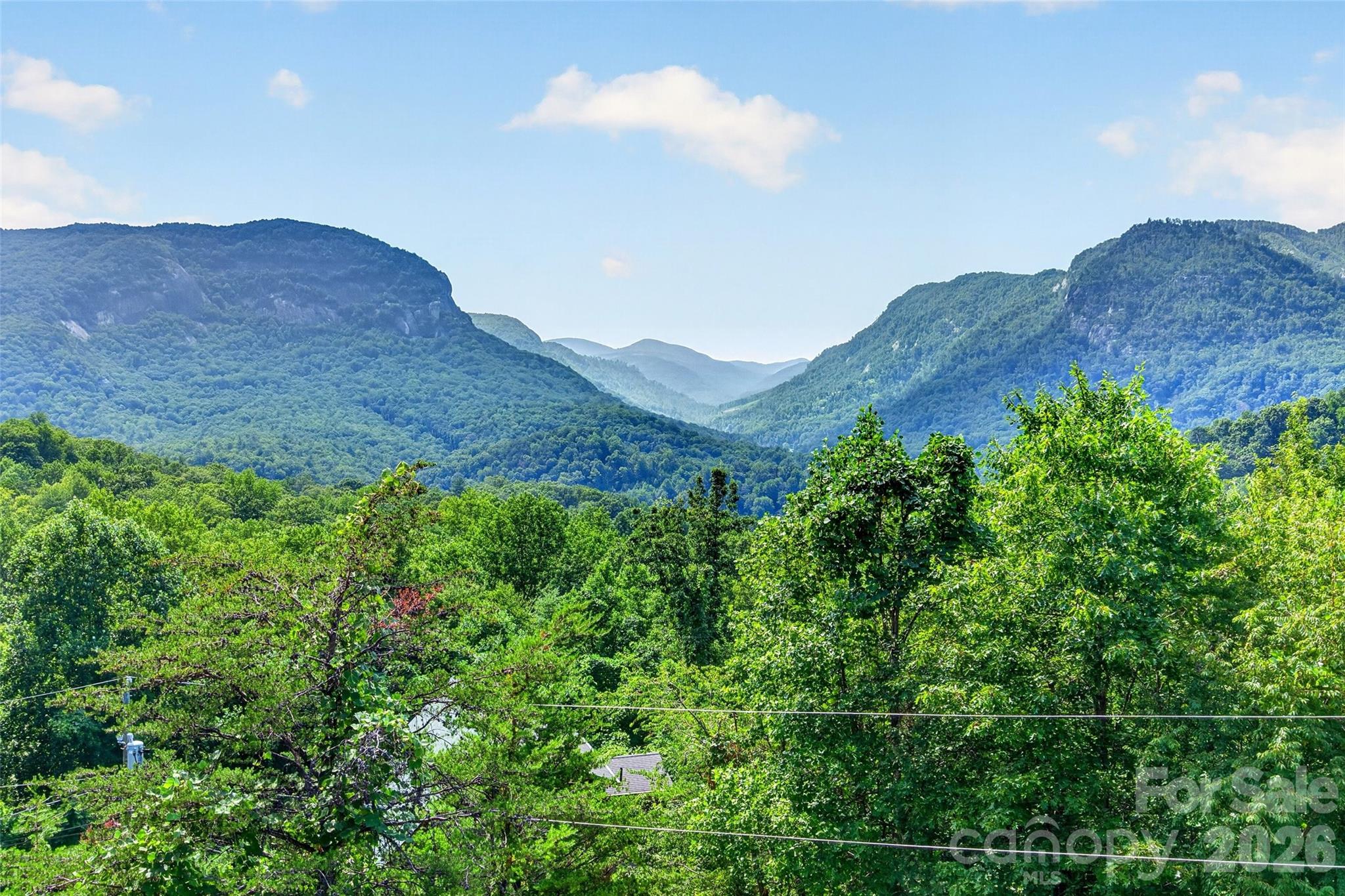 Single Family Residence at 227 Sidney Lanier Drive, Lake Lure, photo 2 of 48