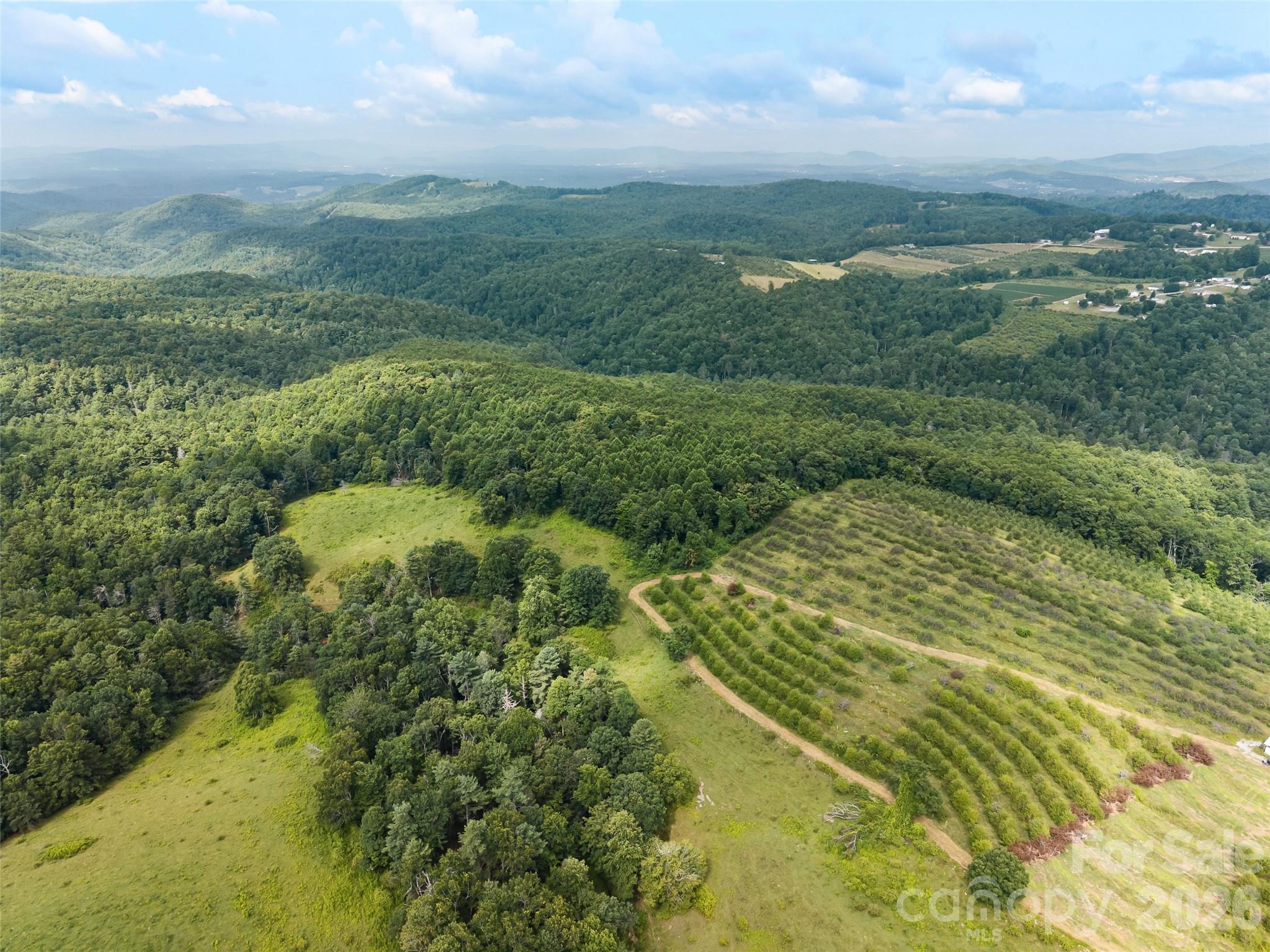 Acreage at 0 Summer Road, Hendersonville, photo 2 of 20