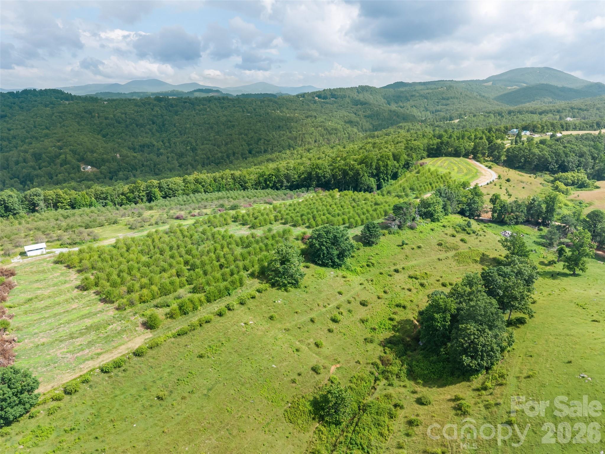 Acreage at 0 Summer Road, Hendersonville, photo 2 of 16