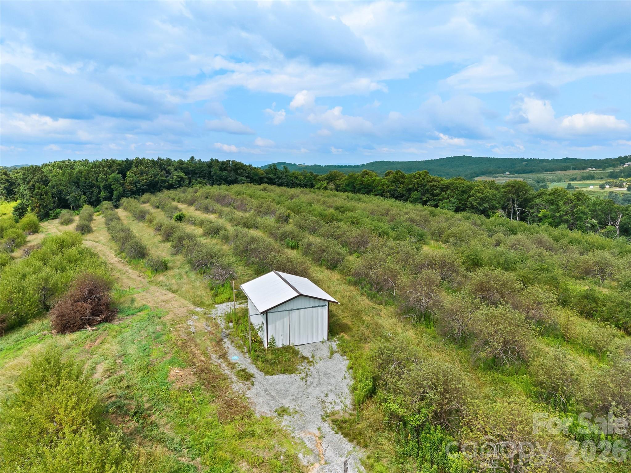 Lot is right of the white shed - 0 Summer Road, Hendersonville