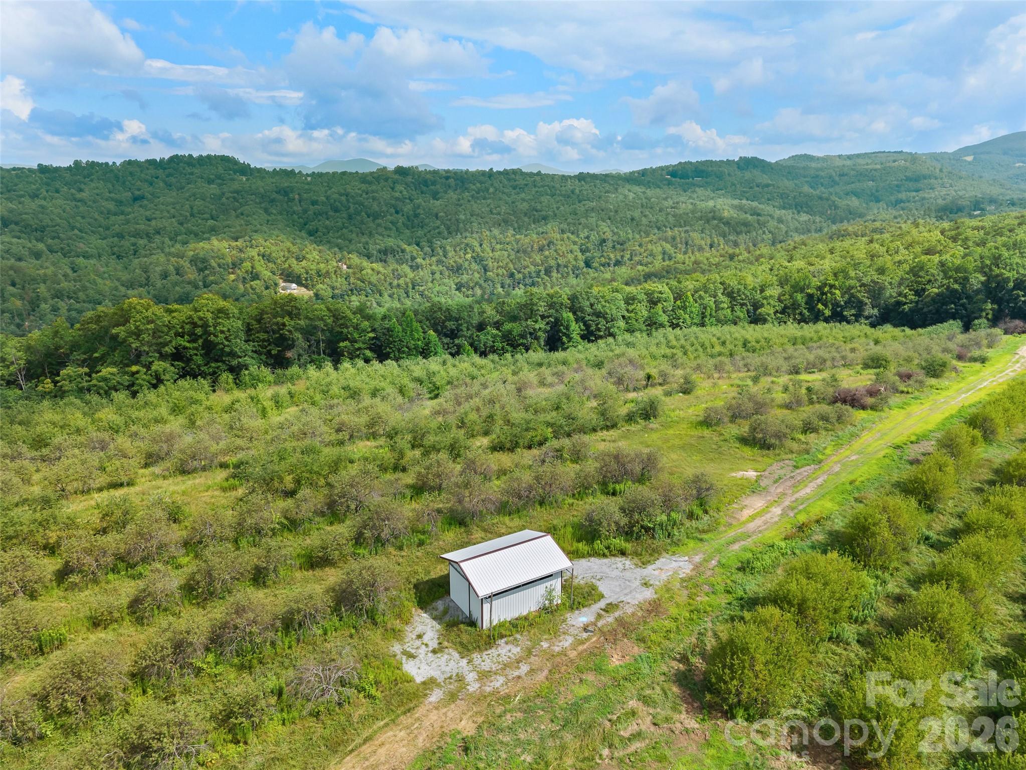 Acreage at 0 Summer Road, Hendersonville, photo 4 of 15