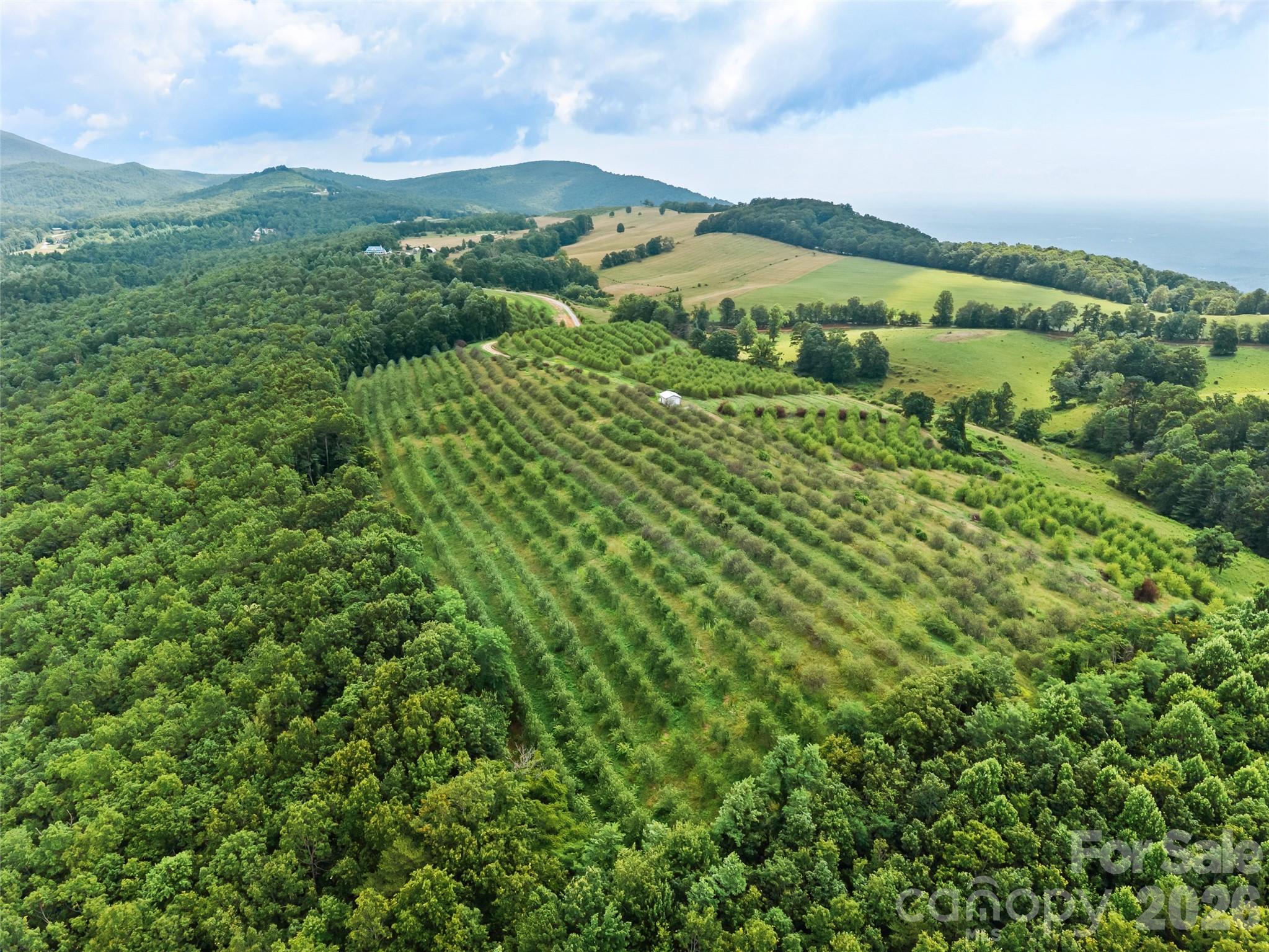 Acreage at 0 Summer Road, Hendersonville, photo 5 of 15