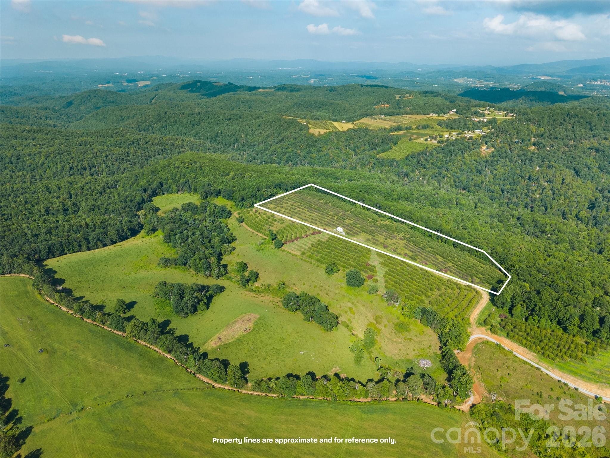 Over view of entire area. - 0 Summer Road, Hendersonville