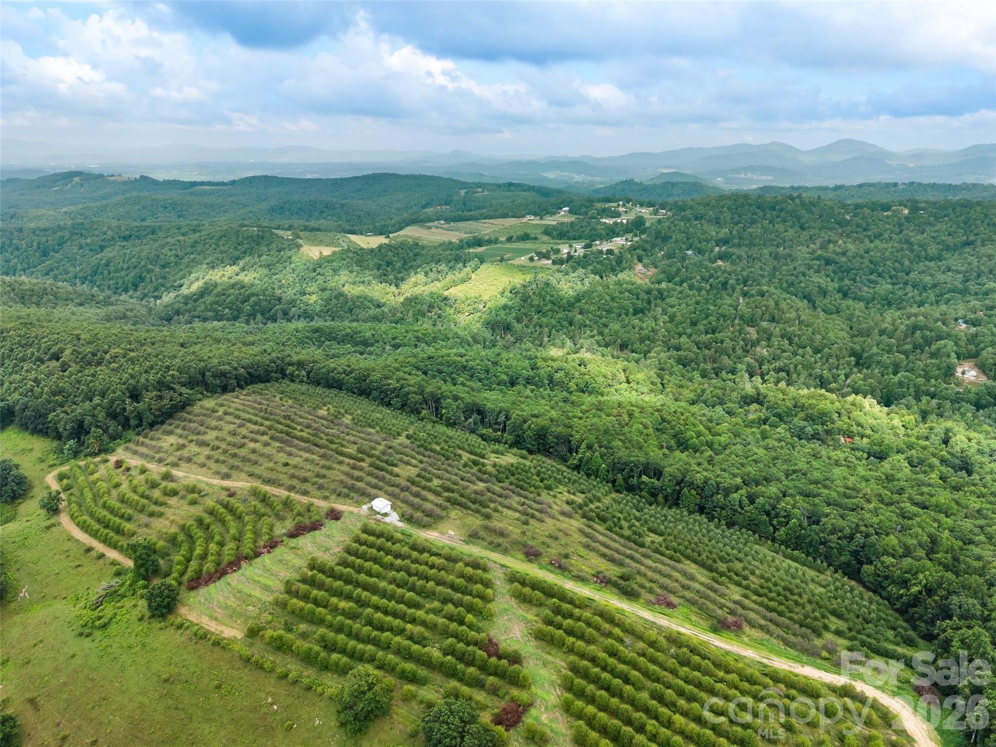 Acreage at 0 Summer Road, Hendersonville, photo 10 of 15