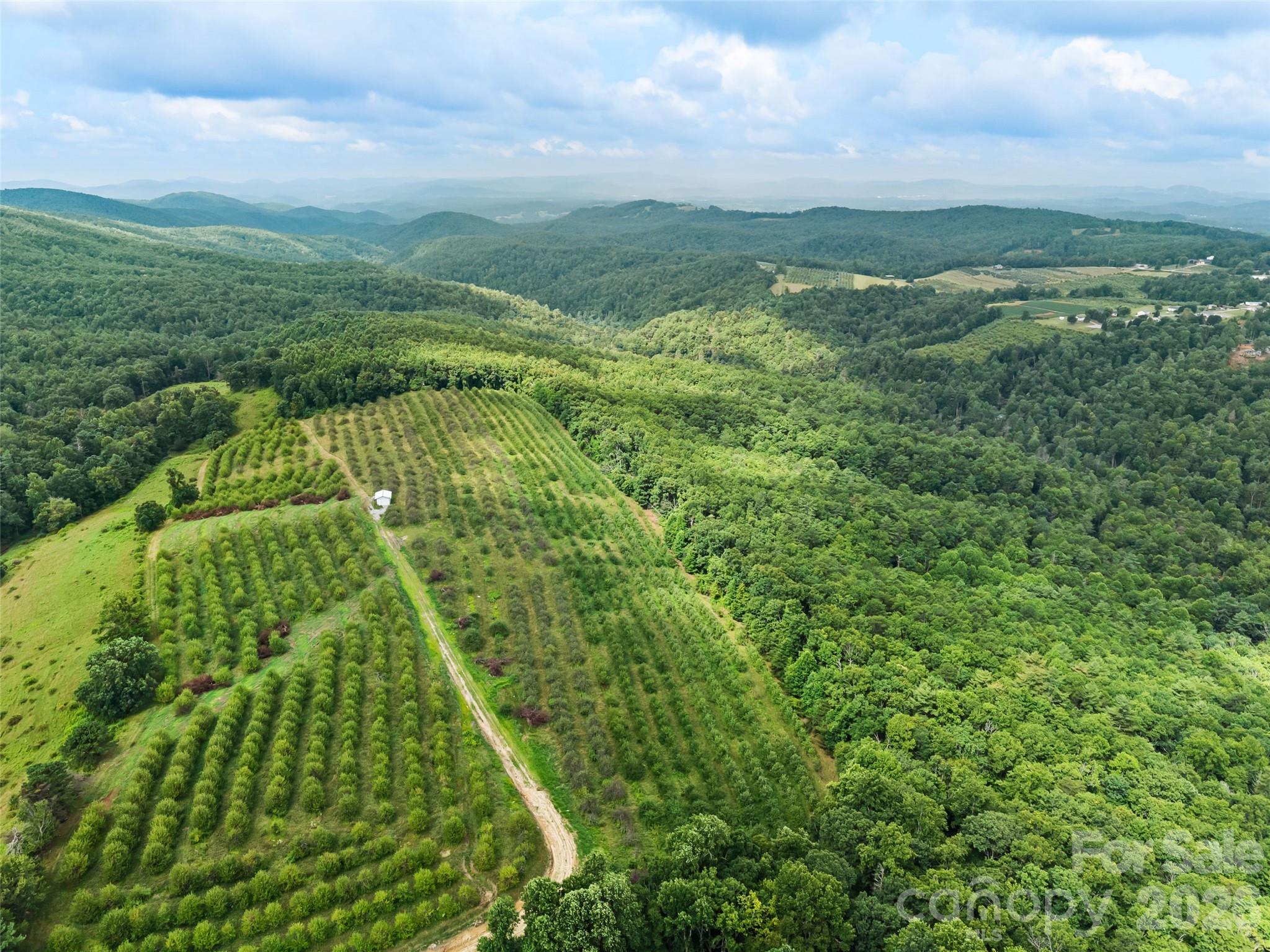Acreage at 0 Summer Road, Hendersonville, photo 11 of 15
