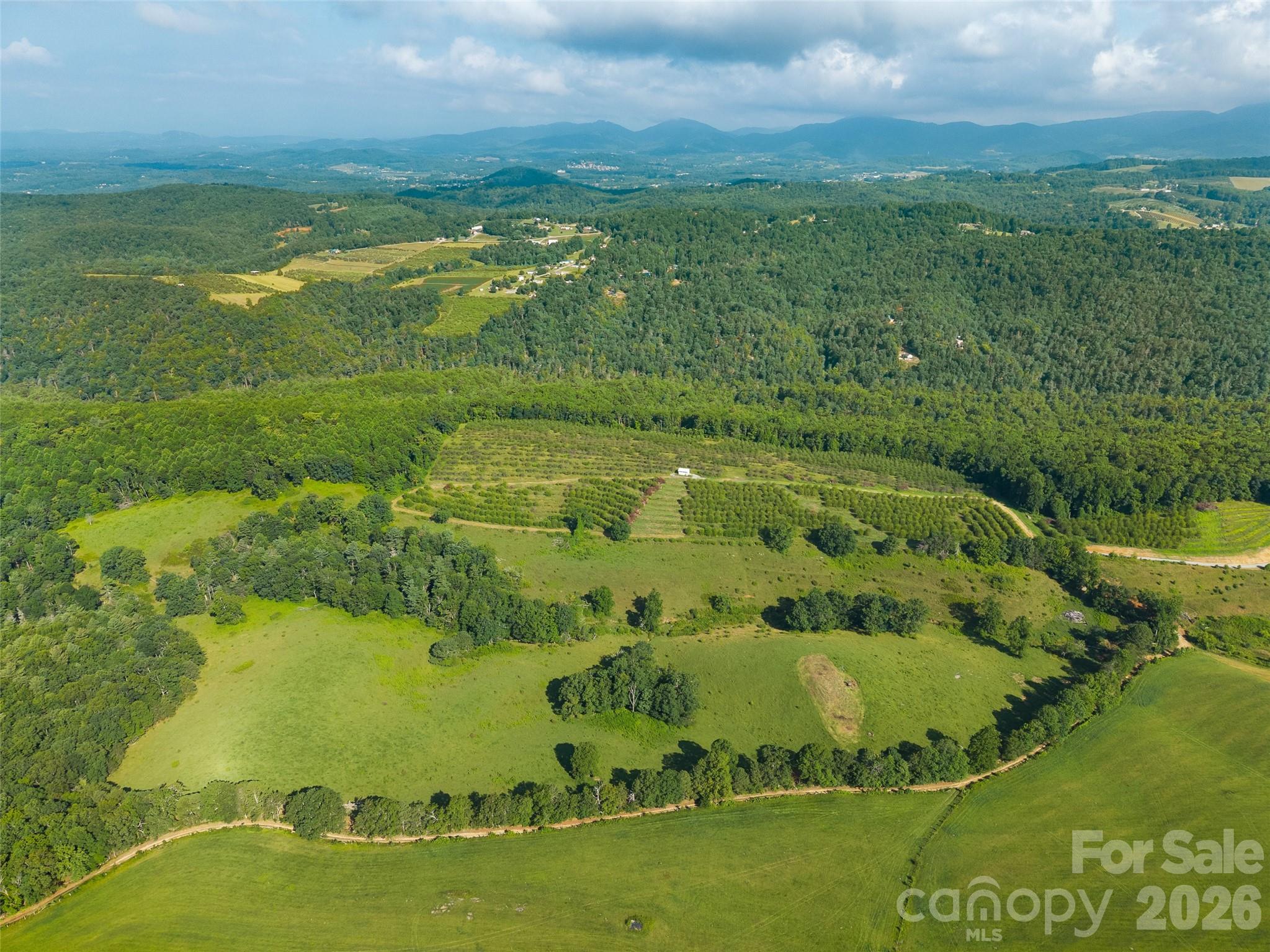 Acreage at 0 Summer Road, Hendersonville, photo 10 of 20