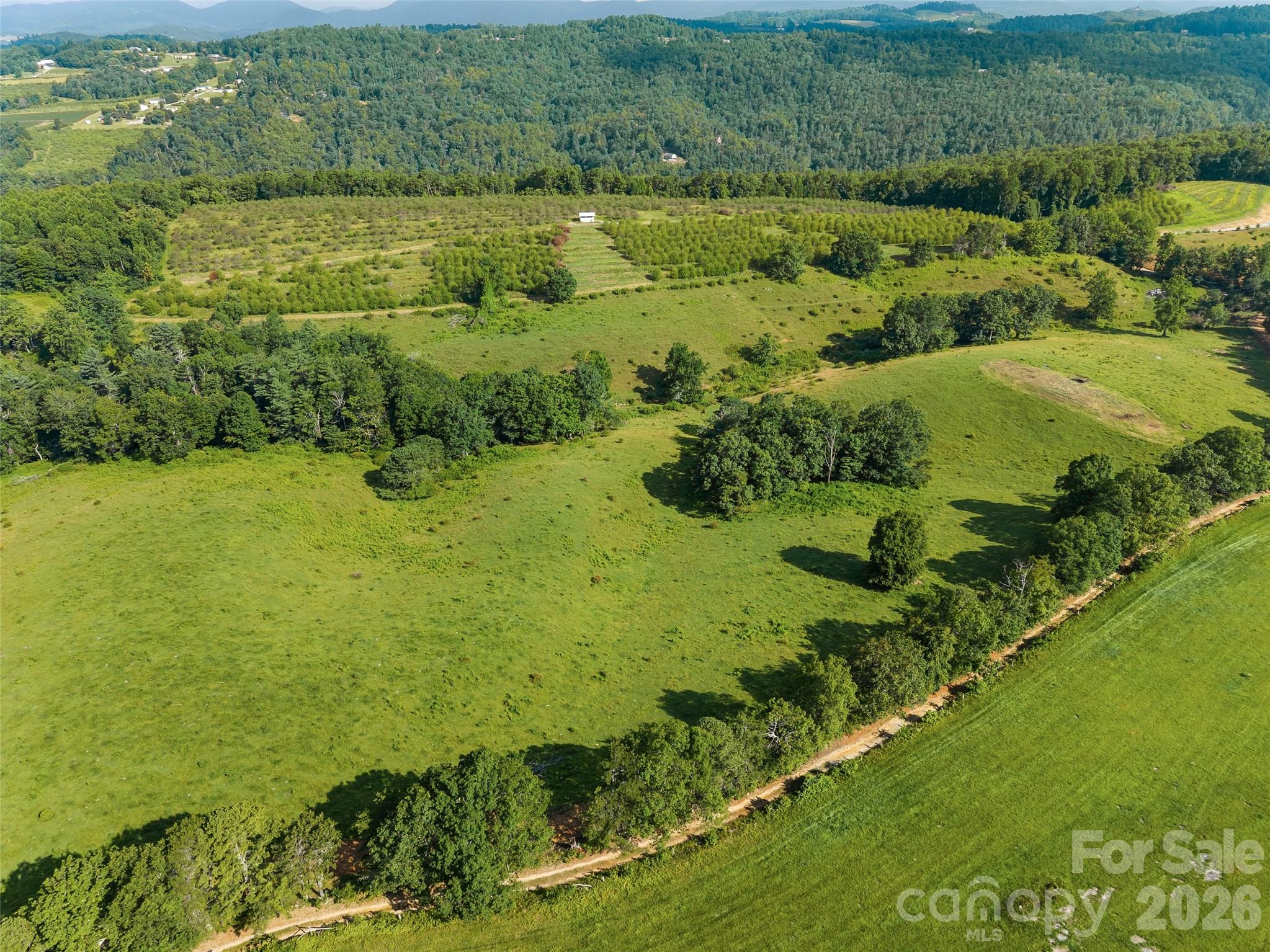Acreage at 0 Summer Road, Hendersonville, photo 14 of 20