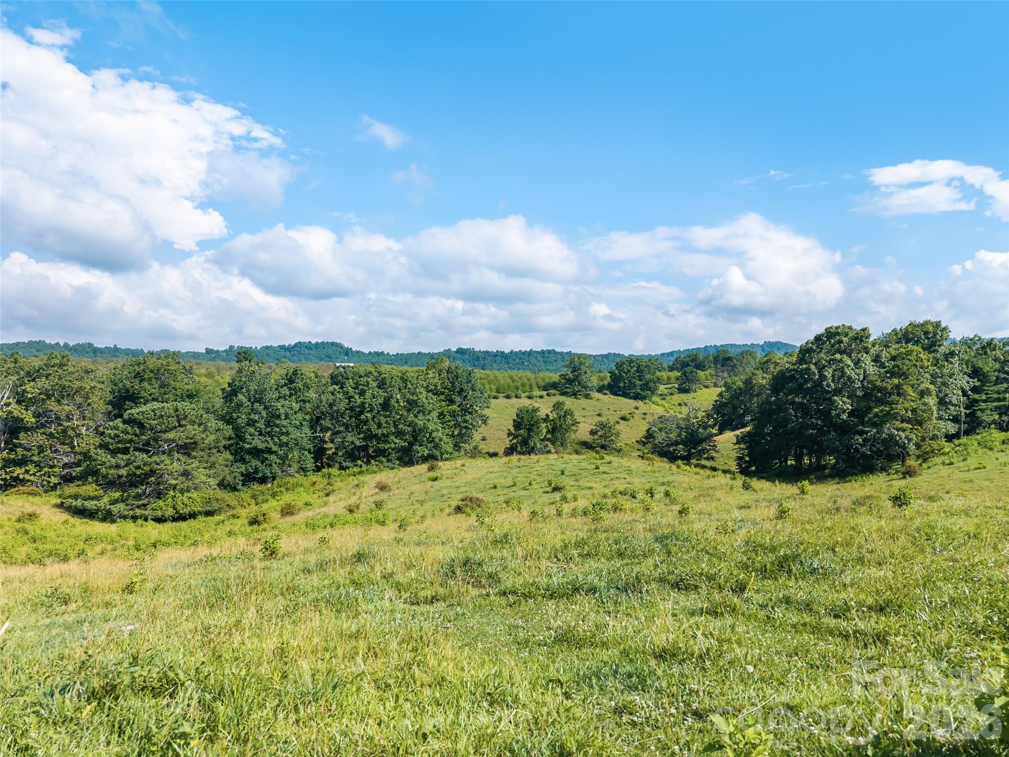 Acreage at 0 Summer Road, Hendersonville, photo 16 of 20
