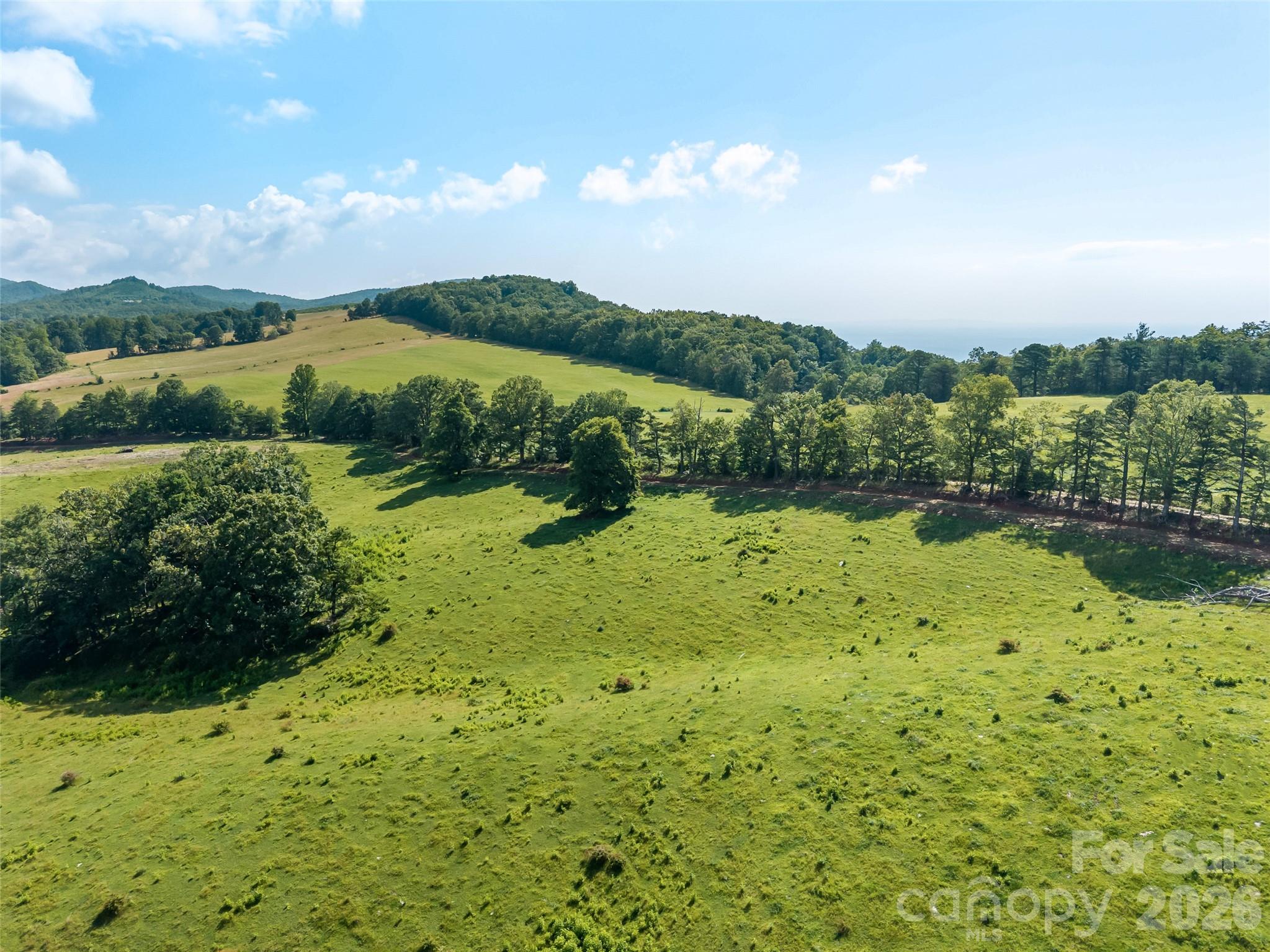 Acreage at 0 Summer Road, Hendersonville, photo 18 of 20