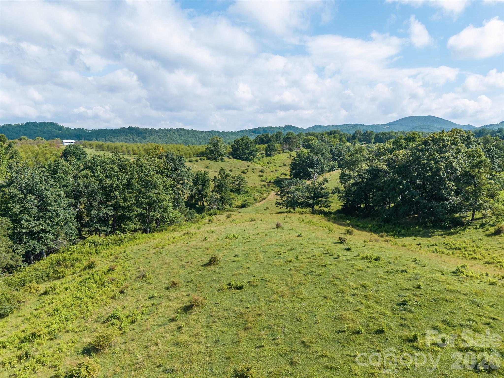 Acreage at 0 Summer Road, Hendersonville, photo 19 of 20