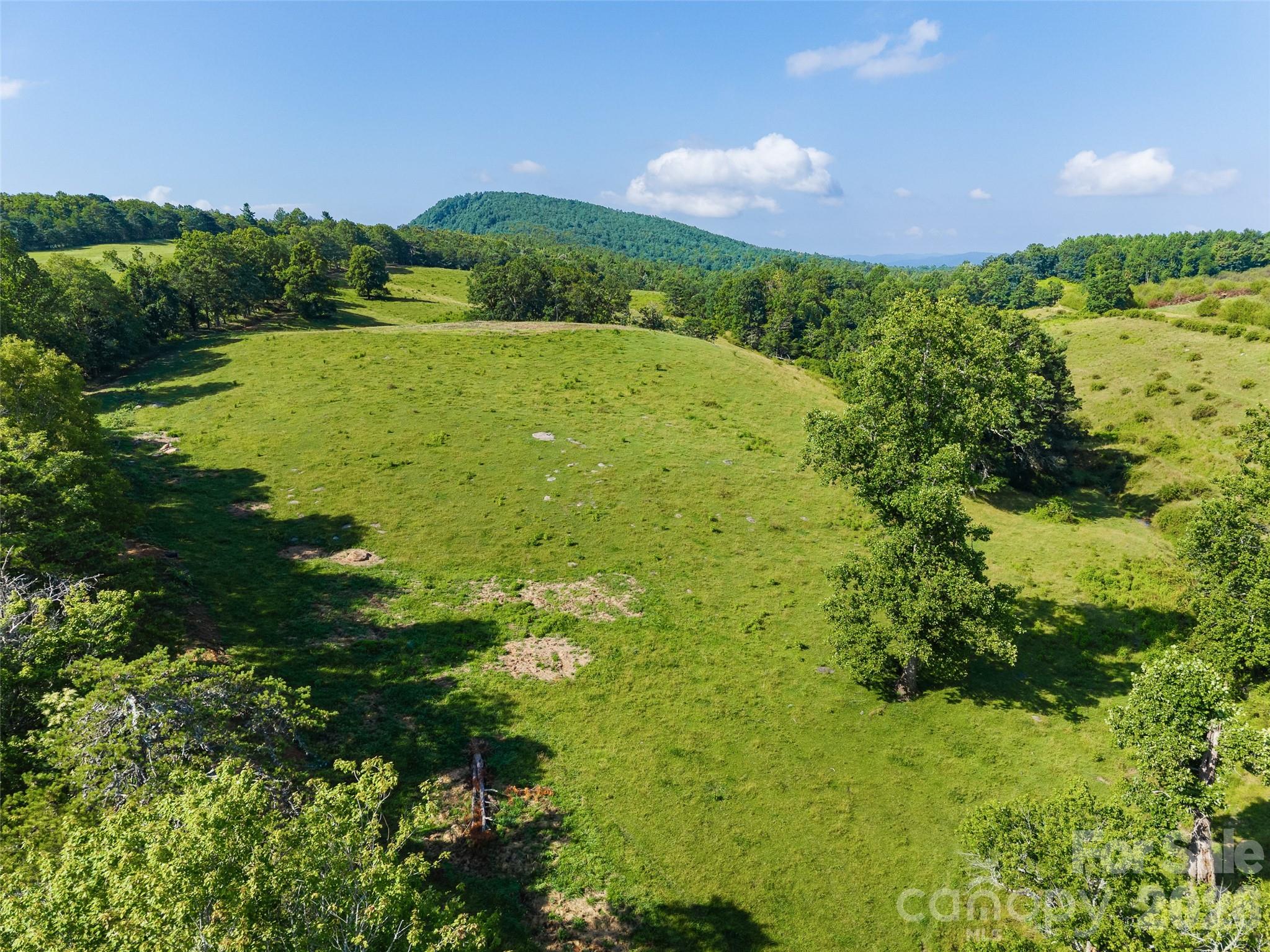 Acreage at 0 Summer Road, Hendersonville, photo 3 of 20