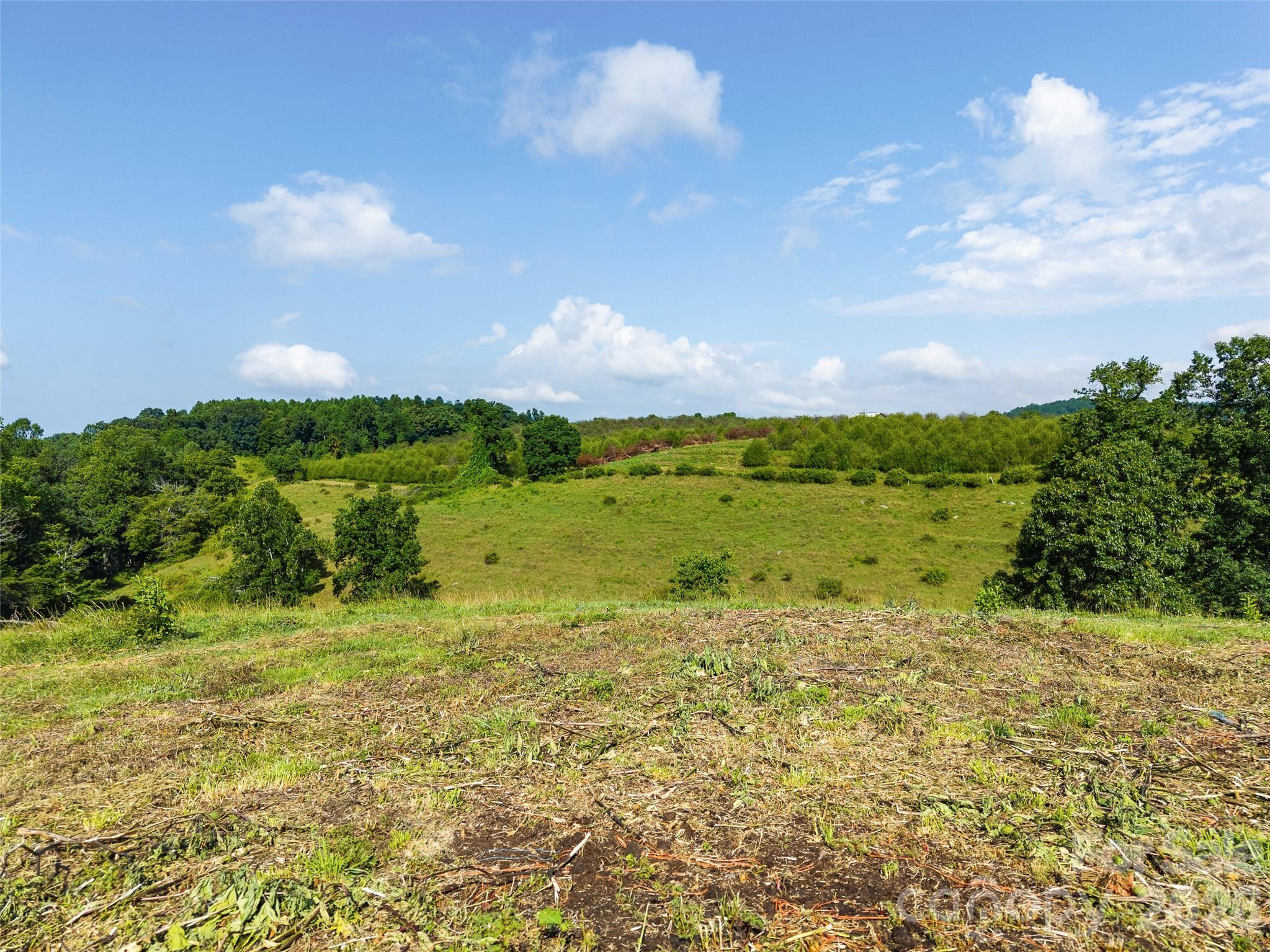 Acreage at 0 Summer Road, Hendersonville, photo 4 of 20