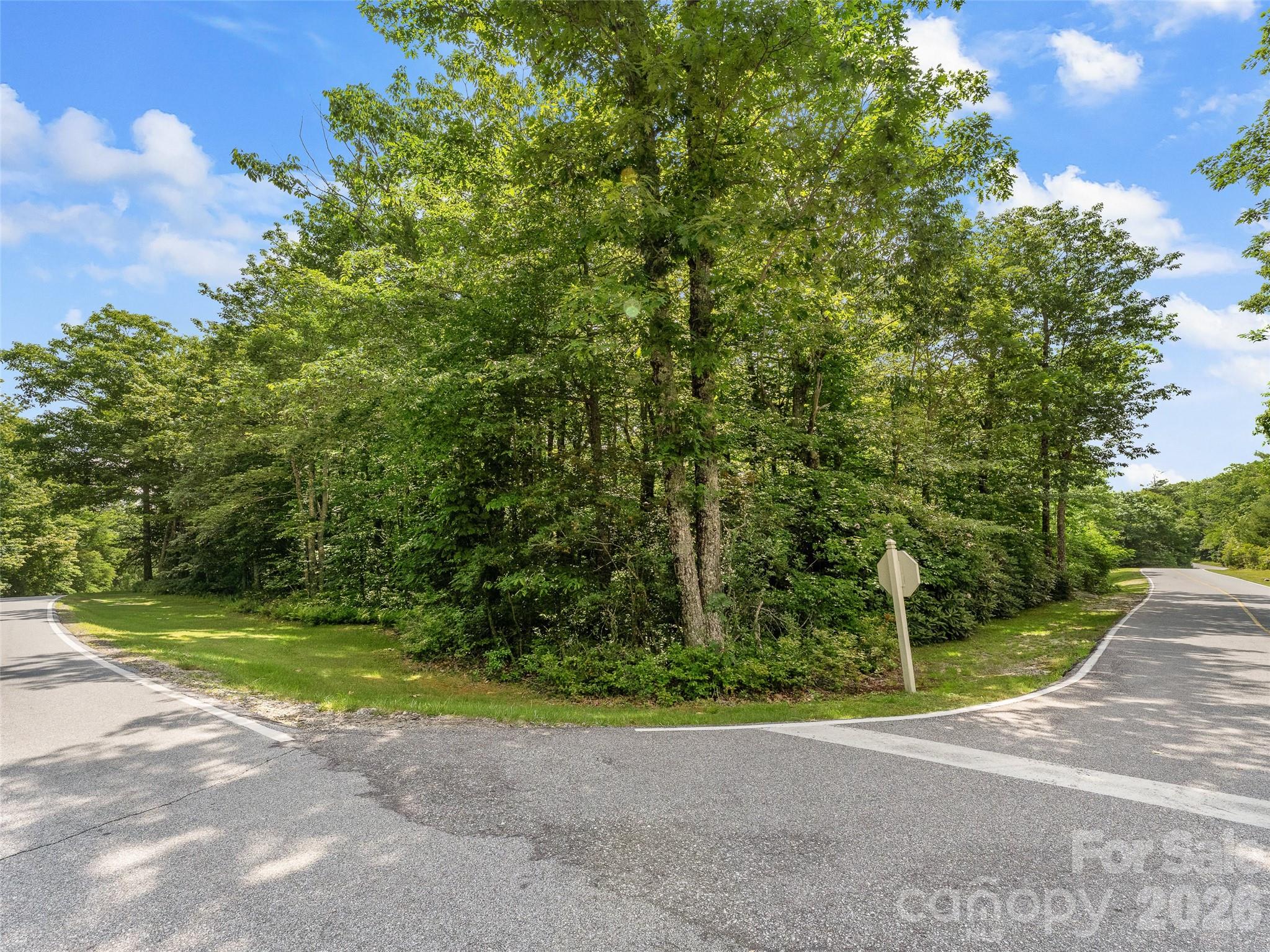 Lot at Lot 42 Spencer Lane, Lake Toxaway, photo 2 of 17