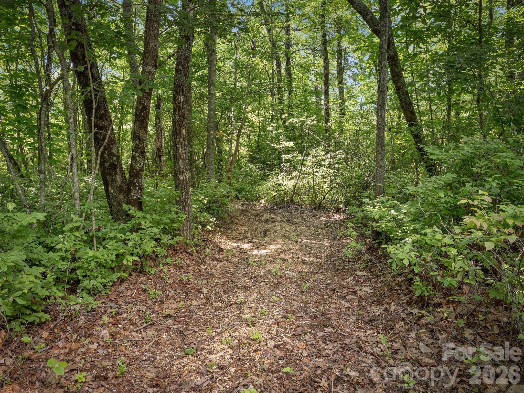 Cleared Walking Trail To View Stand - Lot 42 Spencer Lane, Lake Toxaway
