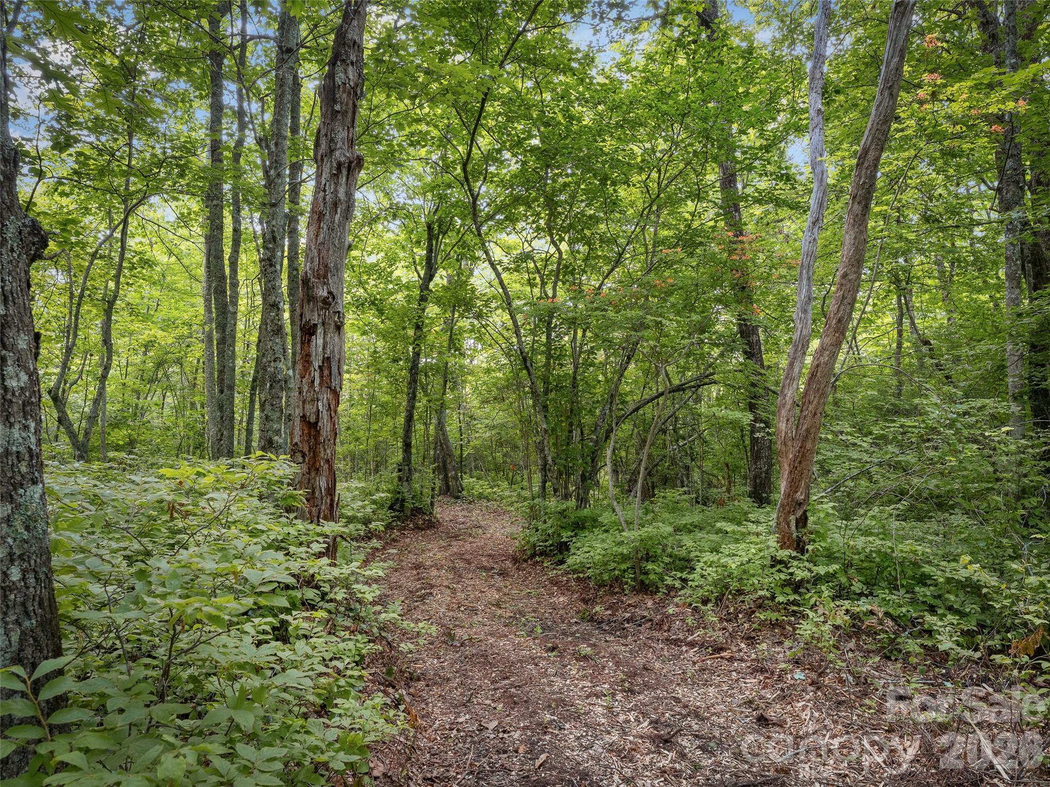 Lot at Lot 42 Spencer Lane, Lake Toxaway, photo 6 of 17