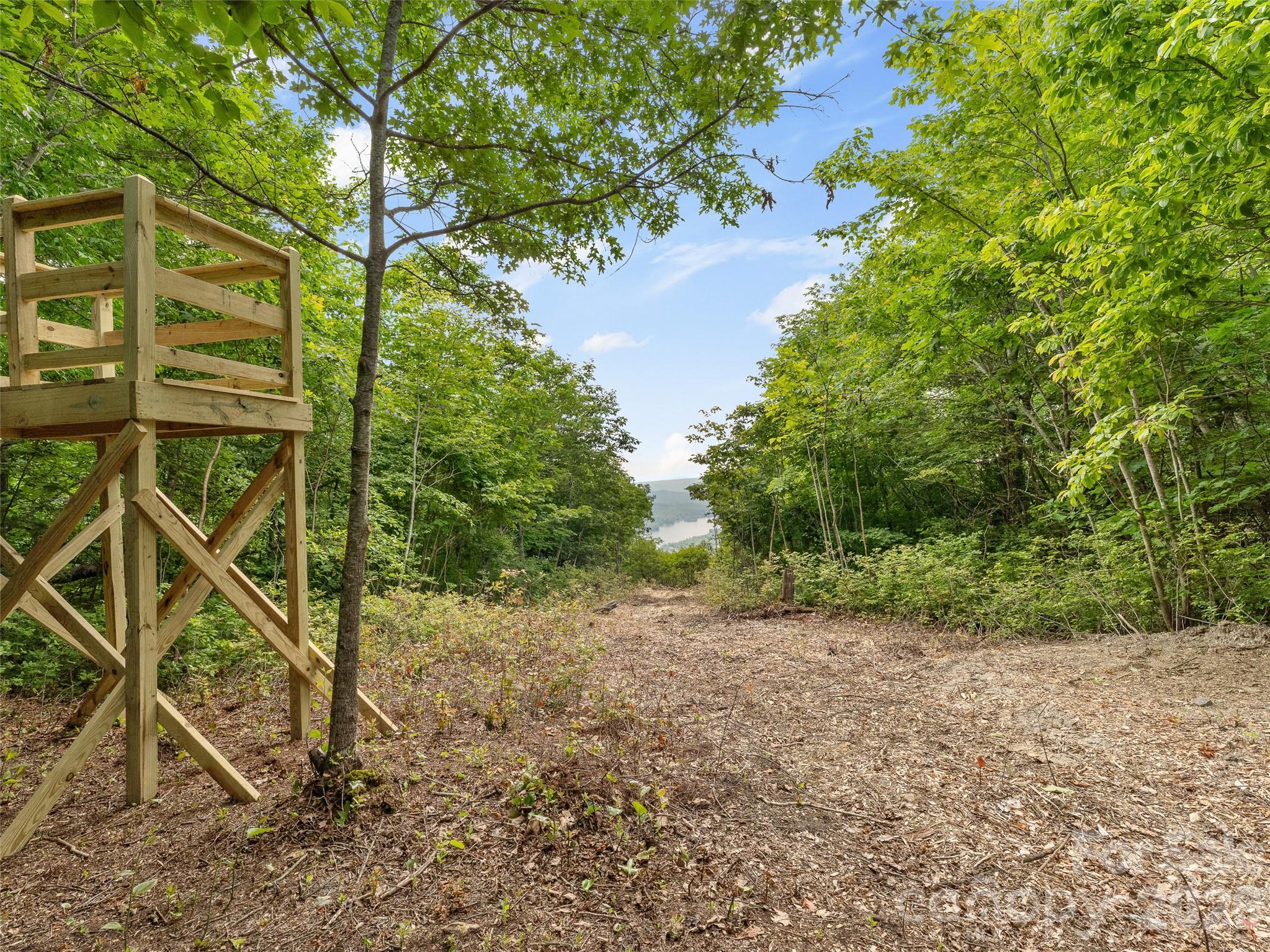 Lot at Lot 42 Spencer Lane, Lake Toxaway, photo 8 of 17