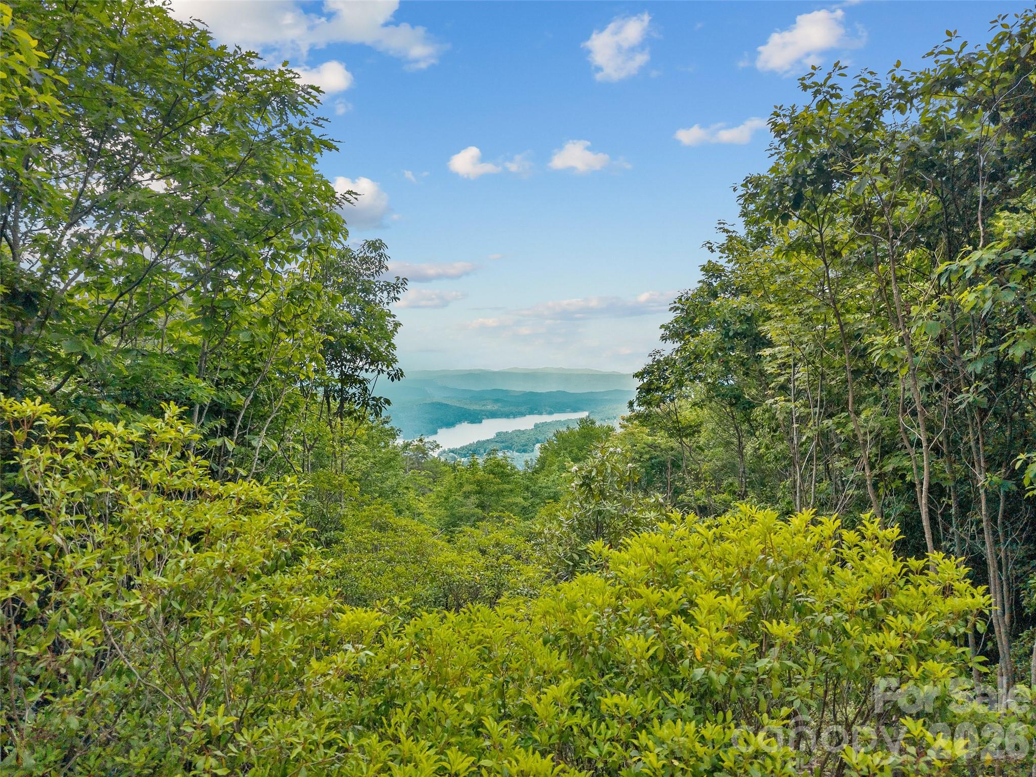 Lot at Lot 42 Spencer Lane, Lake Toxaway, photo 9 of 17
