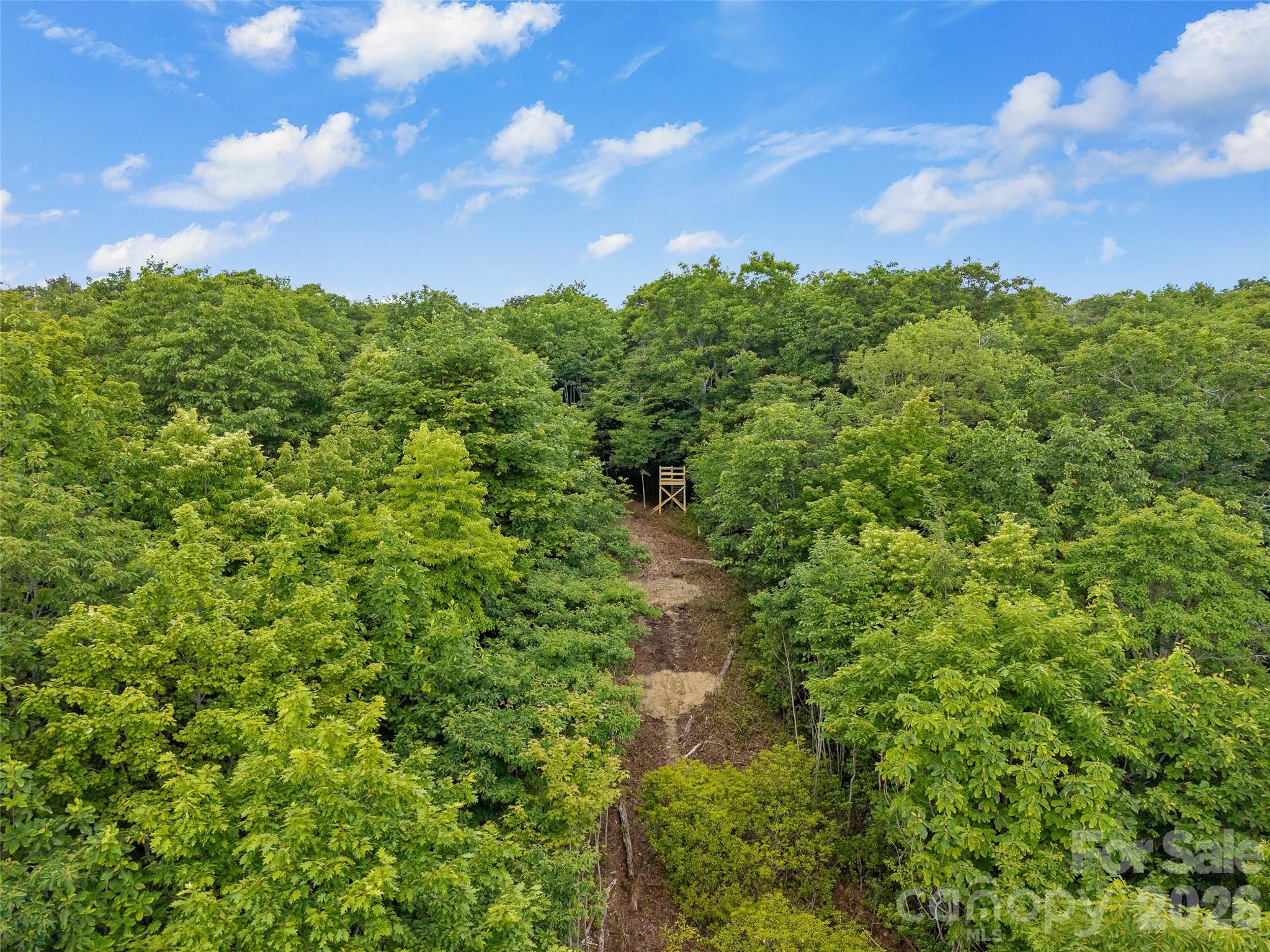 Lot at Lot 42 Spencer Lane, Lake Toxaway, photo 11 of 17