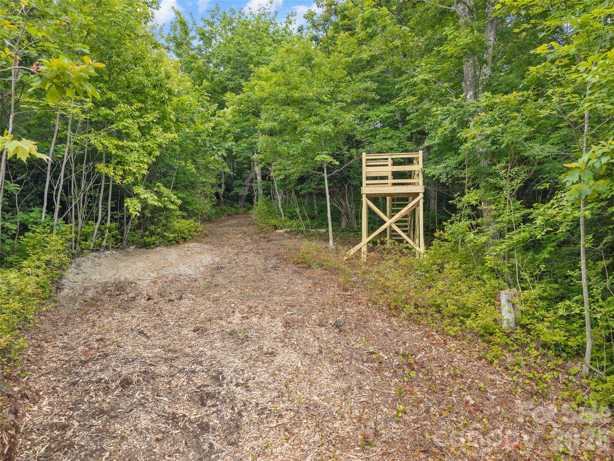 Lot at Lot 42 Spencer Lane, Lake Toxaway, photo 12 of 17