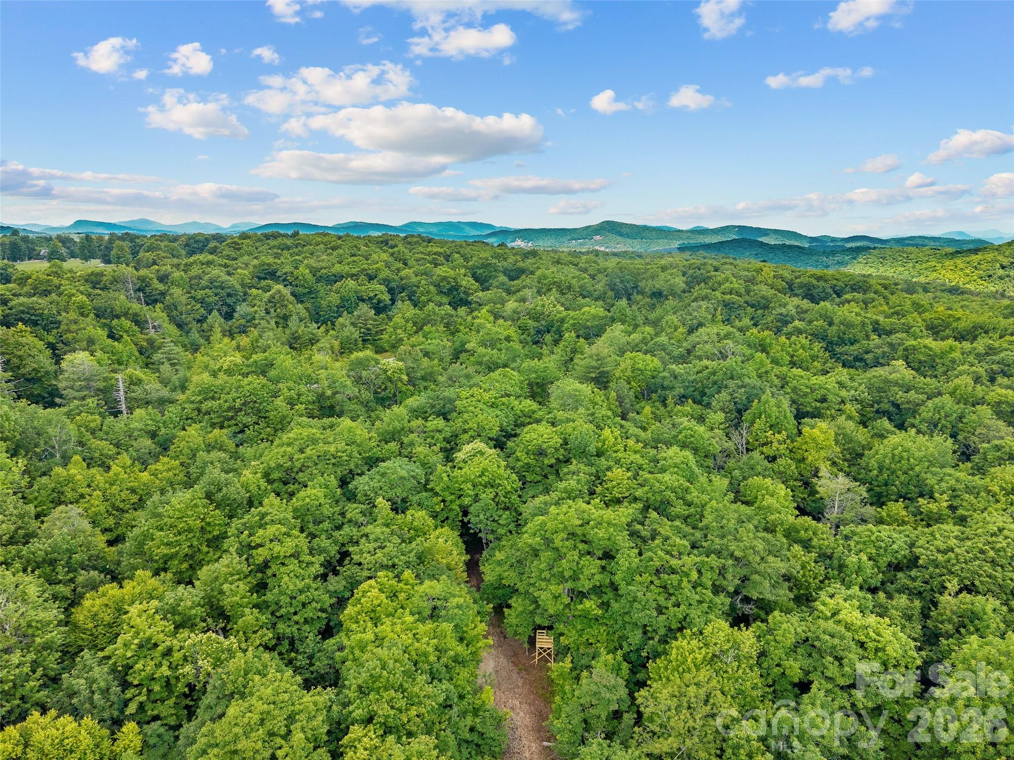 Lot at Lot 42 Spencer Lane, Lake Toxaway, photo 13 of 17