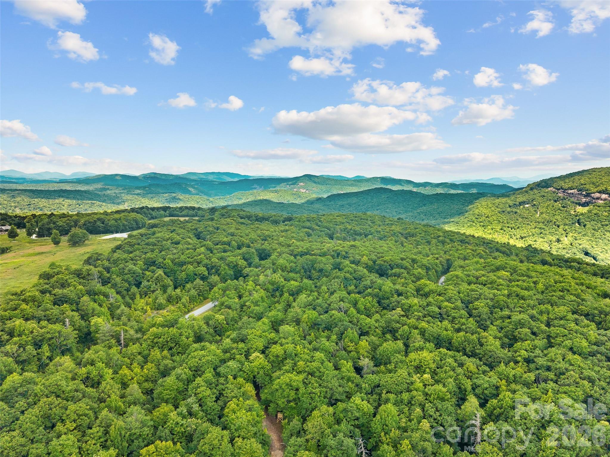 Lot at Lot 42 Spencer Lane, Lake Toxaway, photo 14 of 17