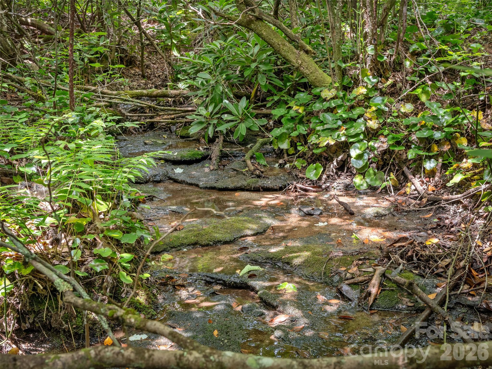 Lot at Lot 42 Spencer Lane, Lake Toxaway, photo 16 of 17