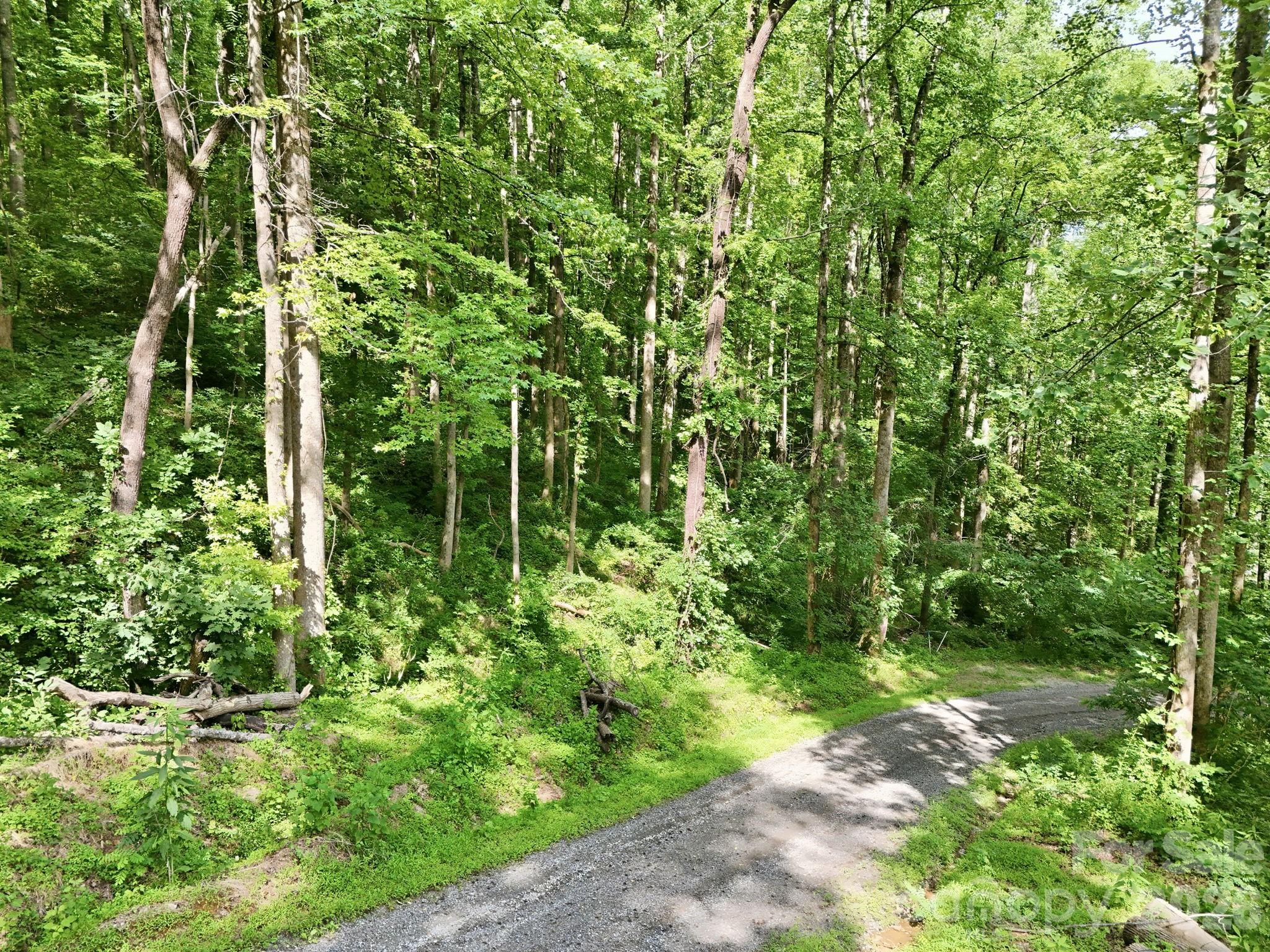 Lot at 0000 Rocky Branch Trail, Marion, photo 4 of 15