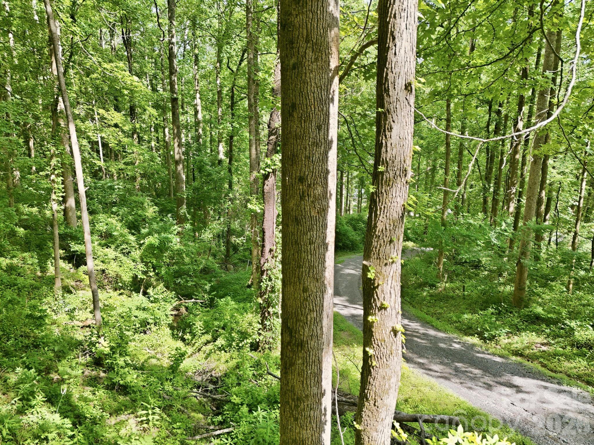 Lot at 0000 Rocky Branch Trail, Marion, photo 5 of 15