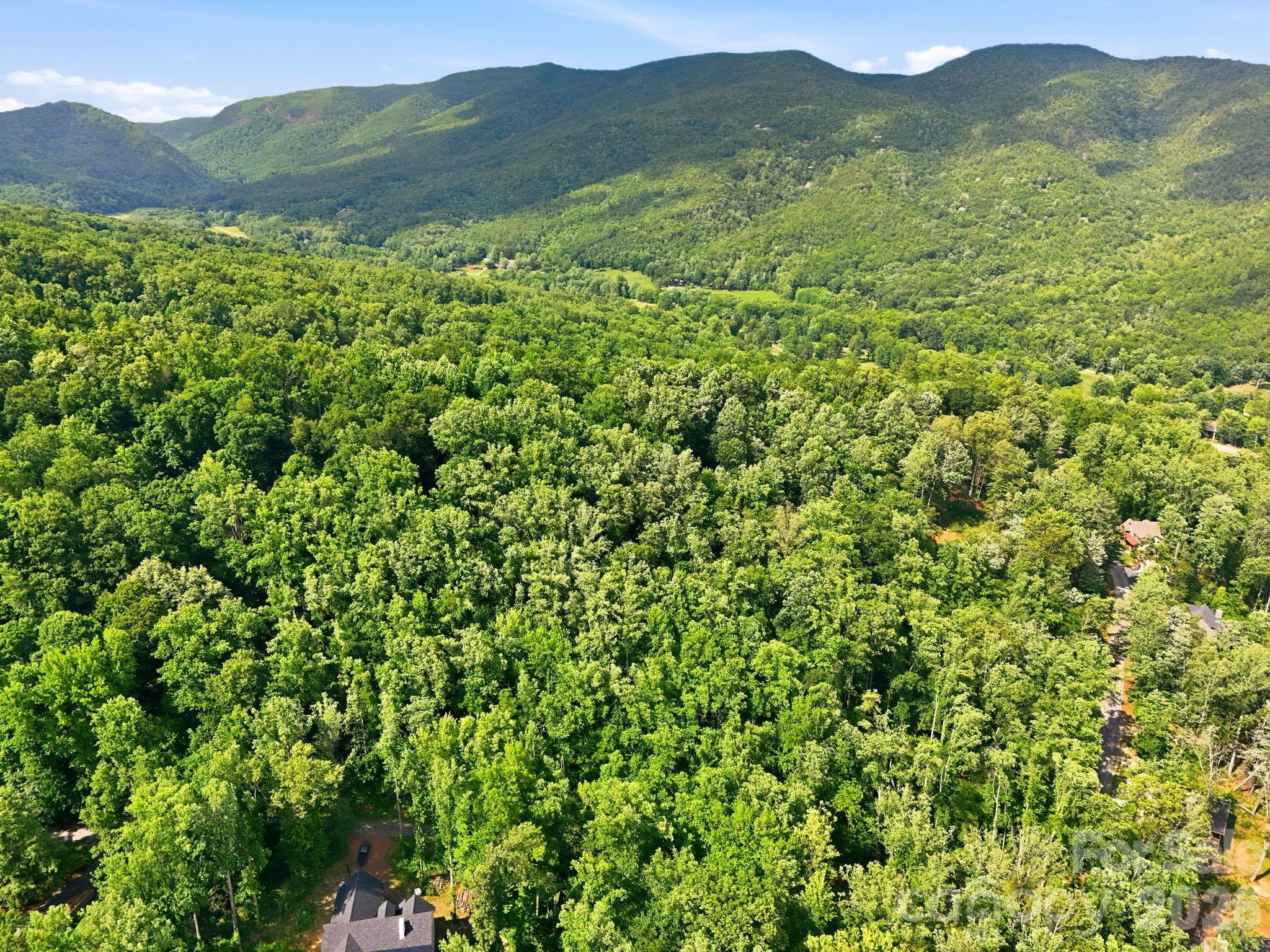 Lot at 0000 Rocky Branch Trail, Marion, photo 6 of 15
