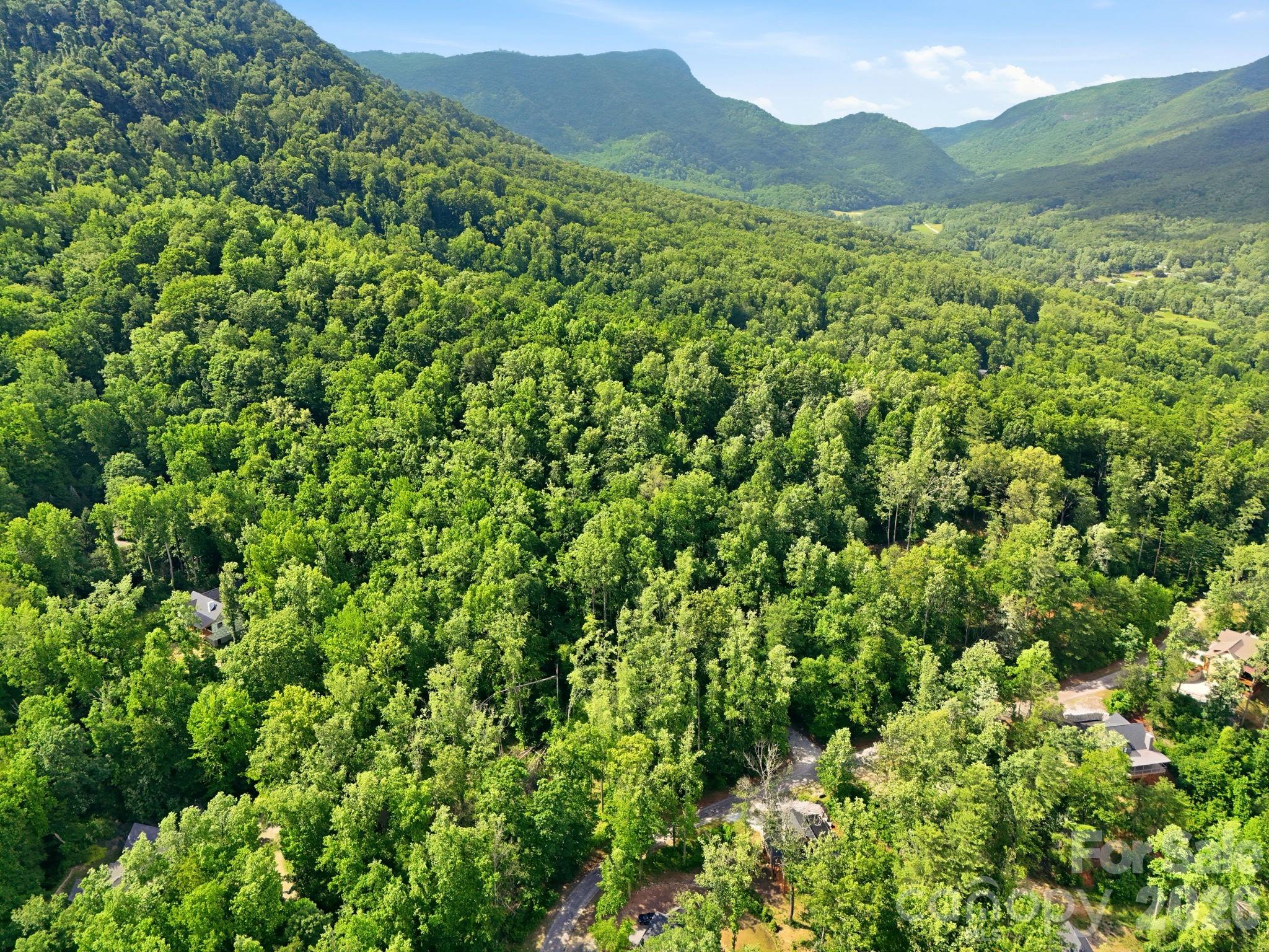 Lot at 0000 Rocky Branch Trail, Marion, photo 8 of 15