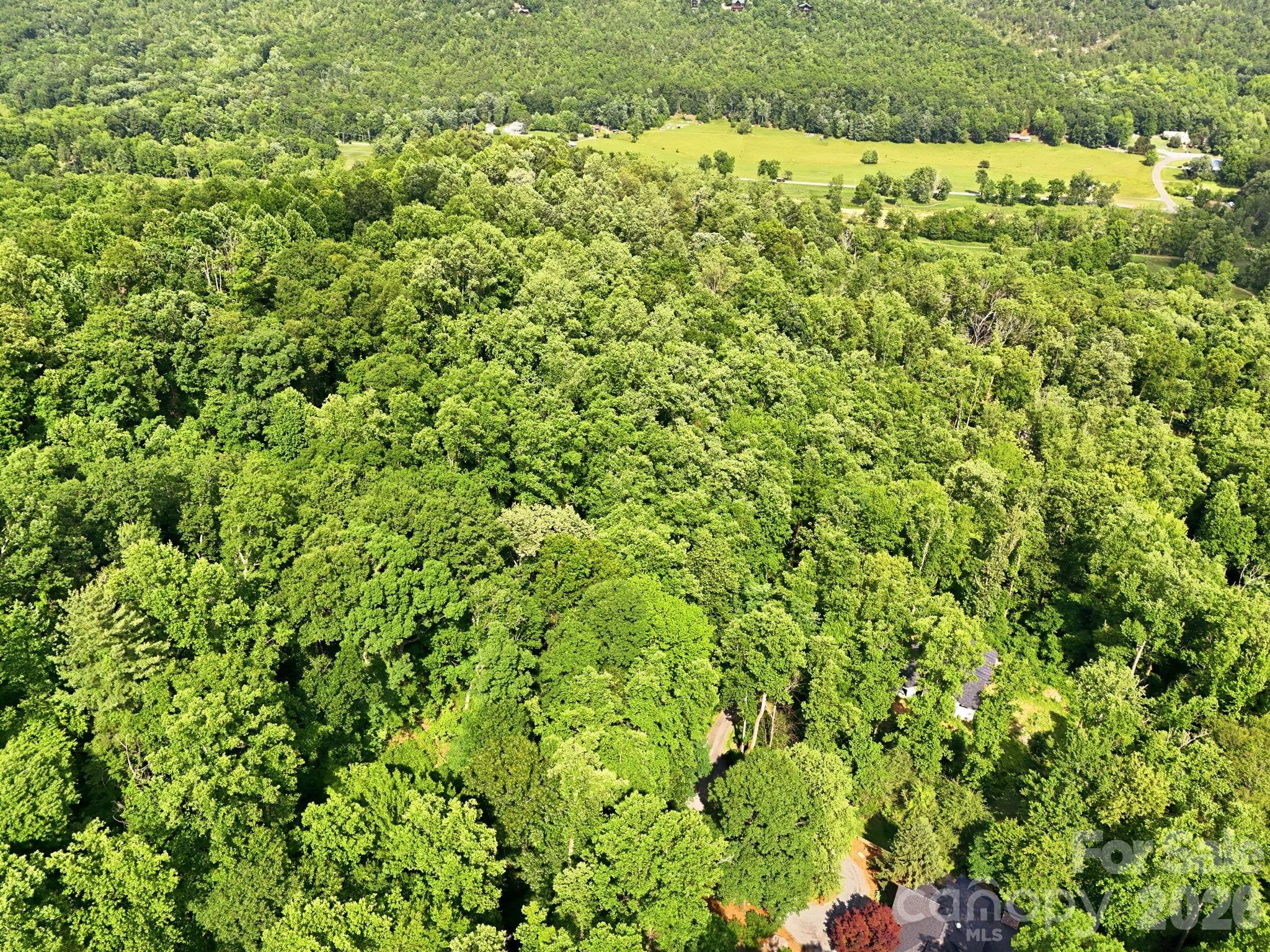 Lot at 0000 Rocky Branch Trail, Marion, photo 11 of 15