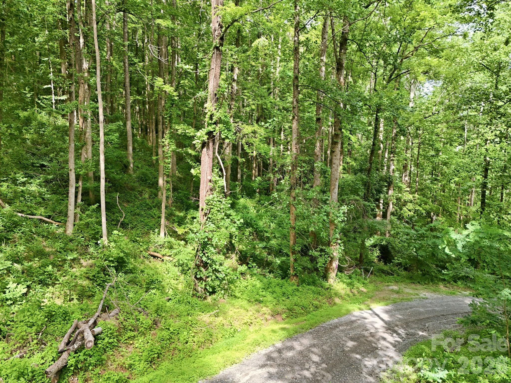 Lot at 0000 Rocky Branch Trail, Marion, photo 13 of 15