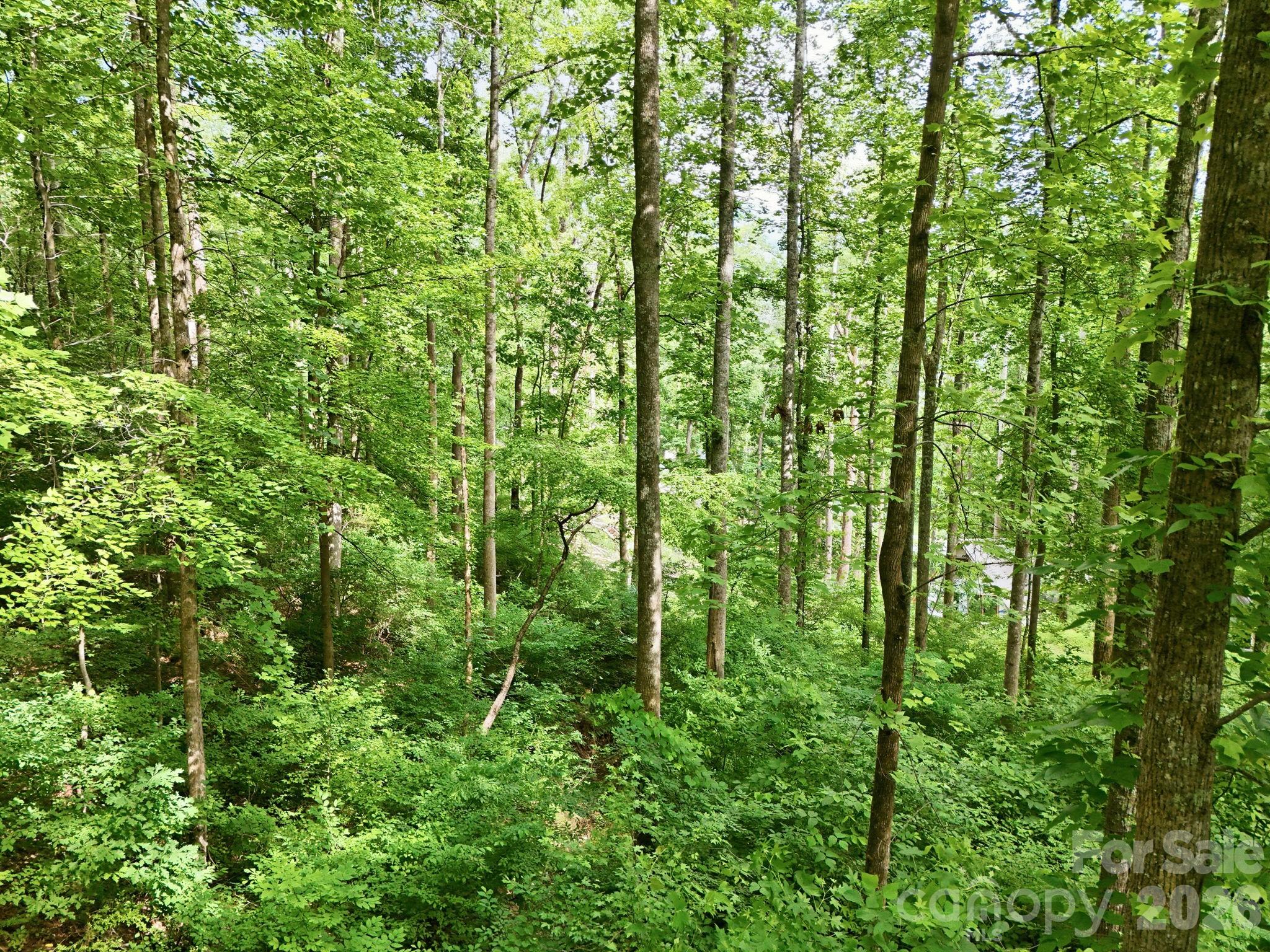 Lot at 0000 Rocky Branch Trail, Marion, photo 14 of 15