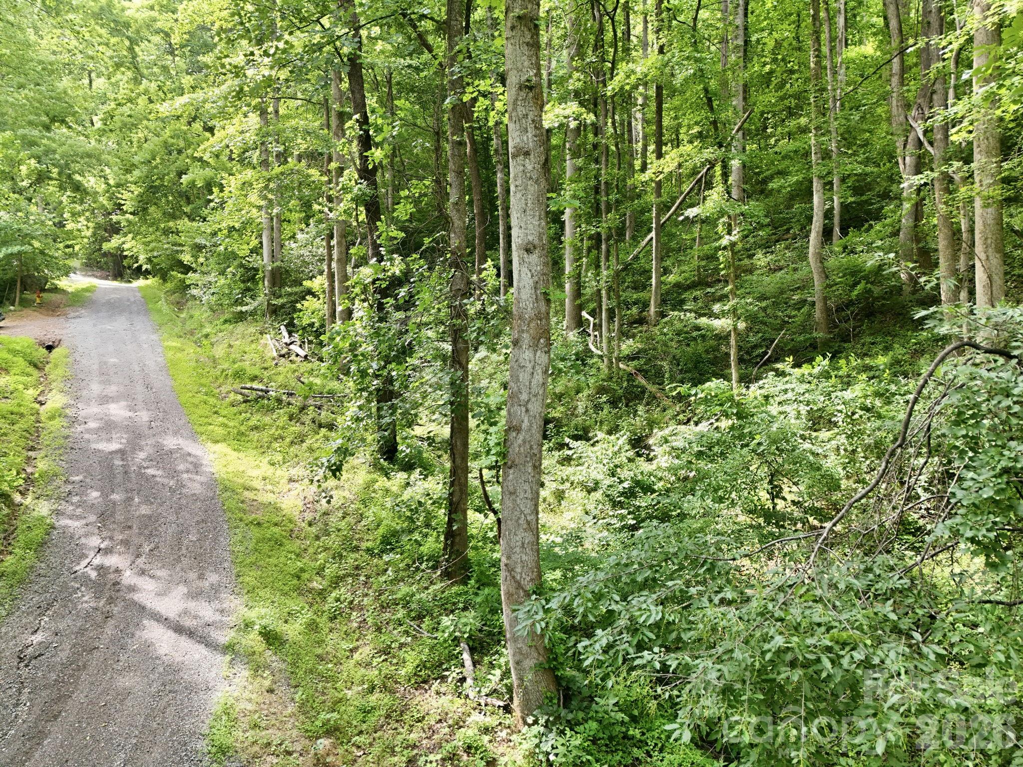 Lot at 0000 Rocky Branch Trail, Marion, photo 15 of 15