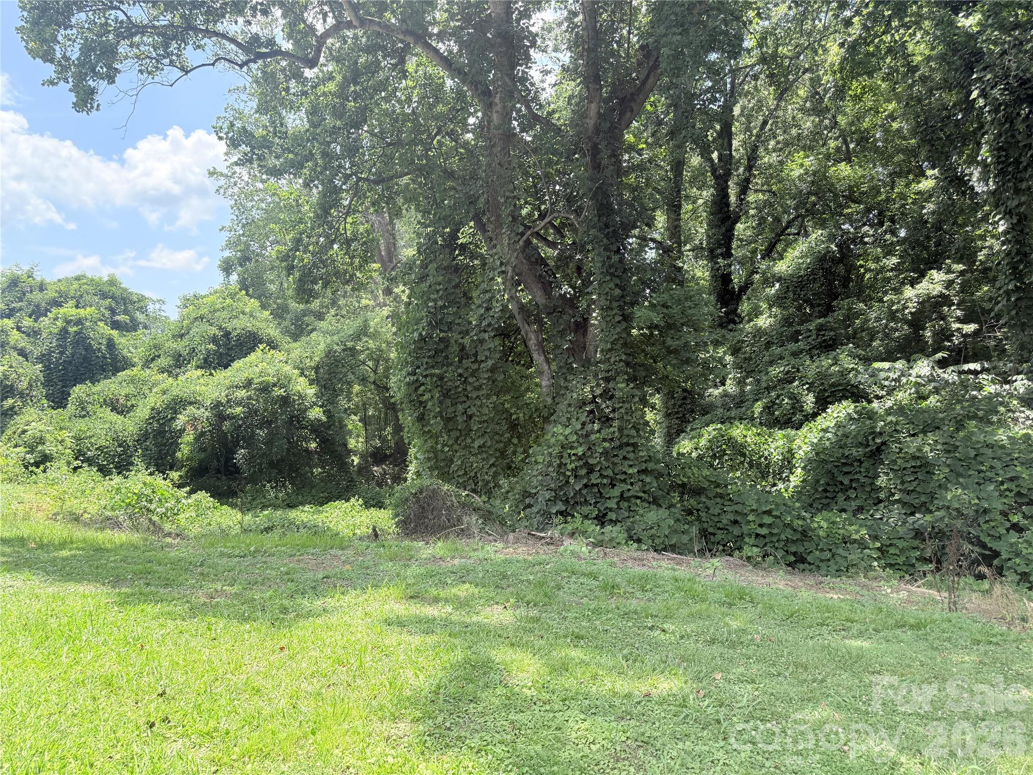 Private Back Yard - 409 Redding Street, Gastonia