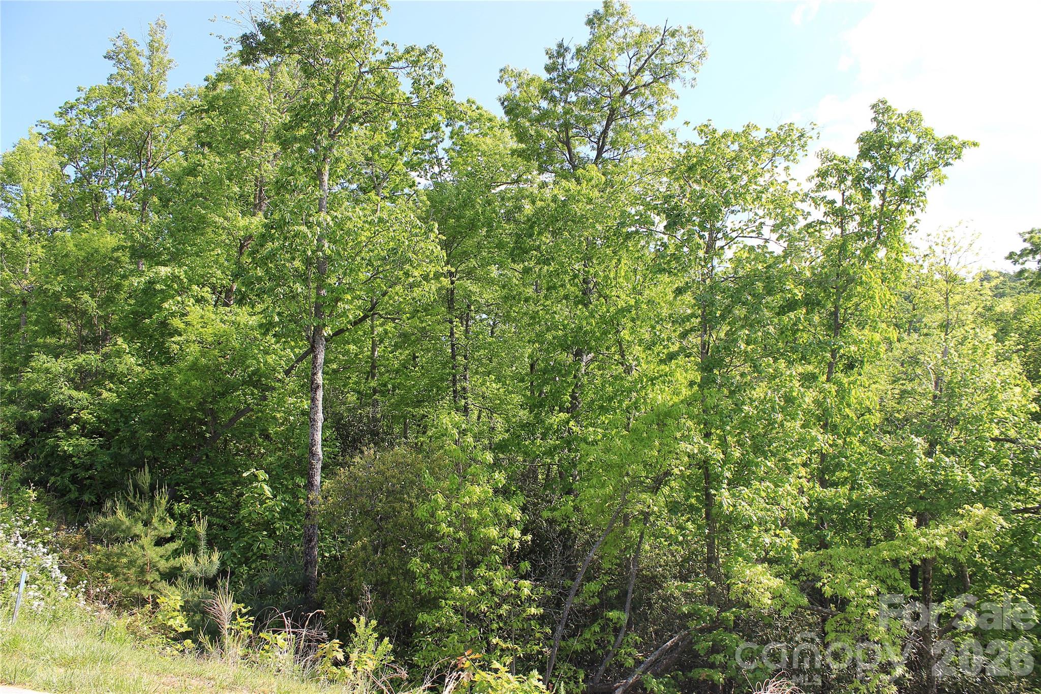 Lot at 101 Wood Owl Court, Hendersonville, photo 2 of 15