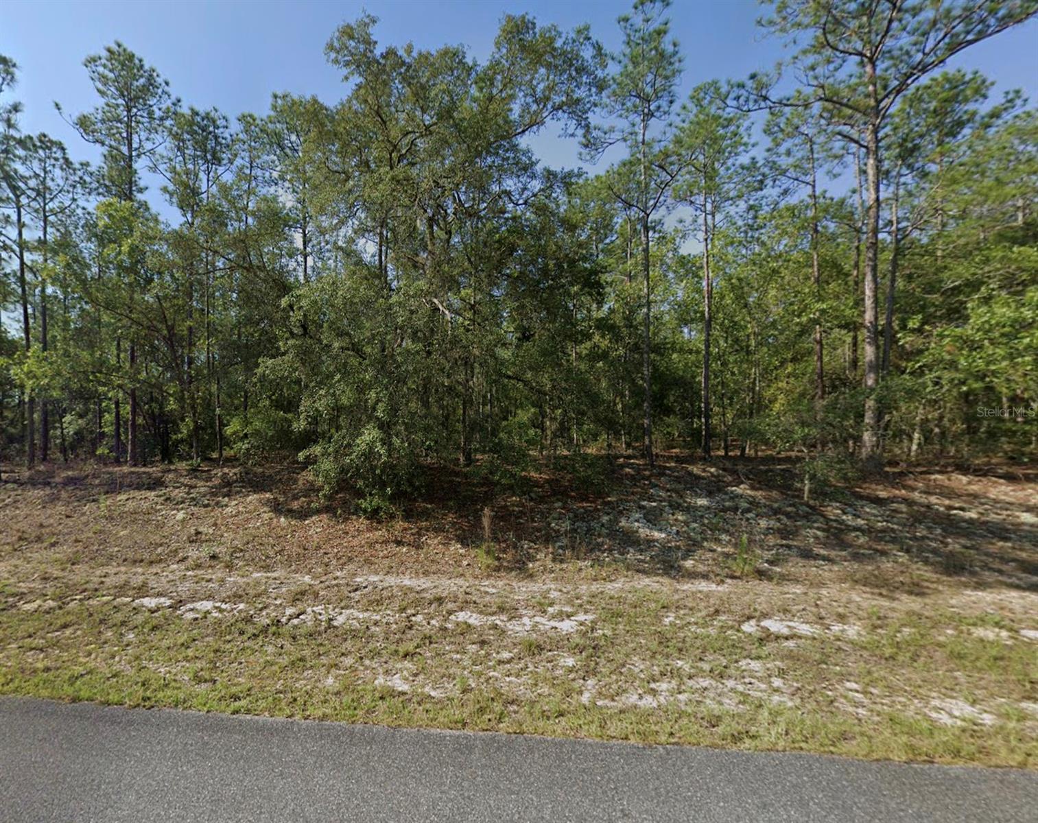 608 E BIMINI DR