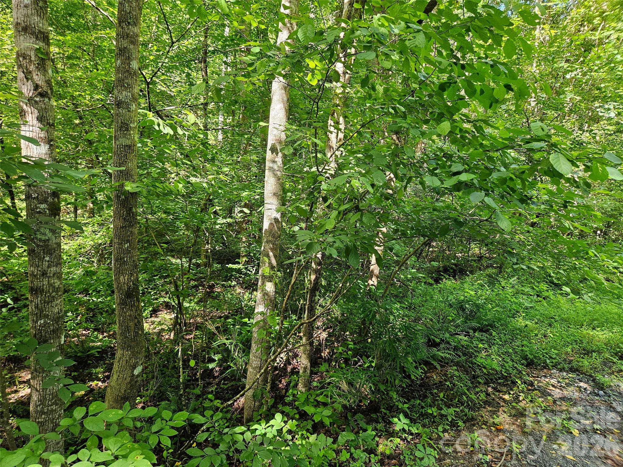 Lot at 0 Sandpiper Avenue, Lake Lure, photo 2 of 12