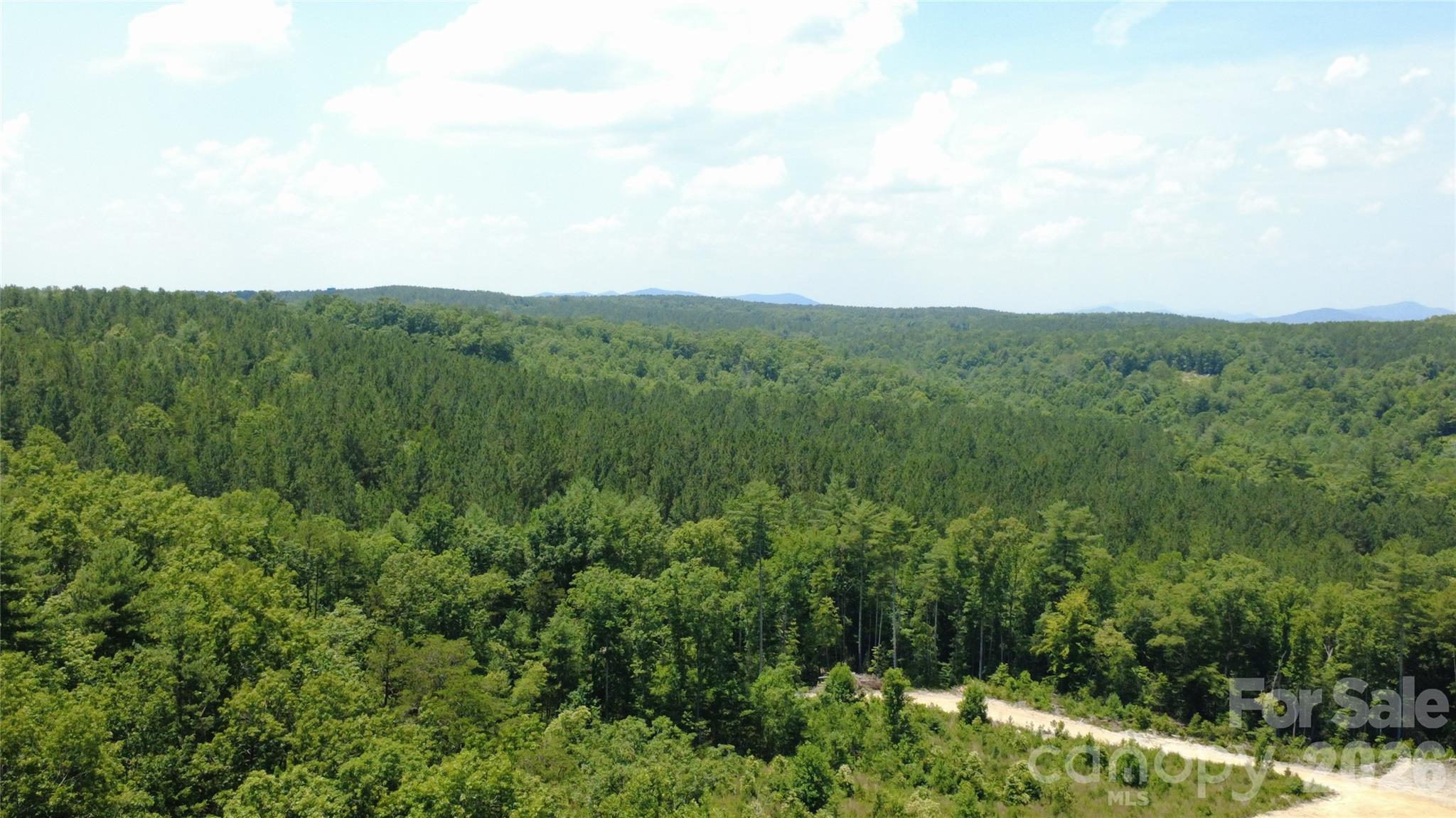 Acreage at 4691 Snowhill Church Road, Morganton, photo 2 of 26