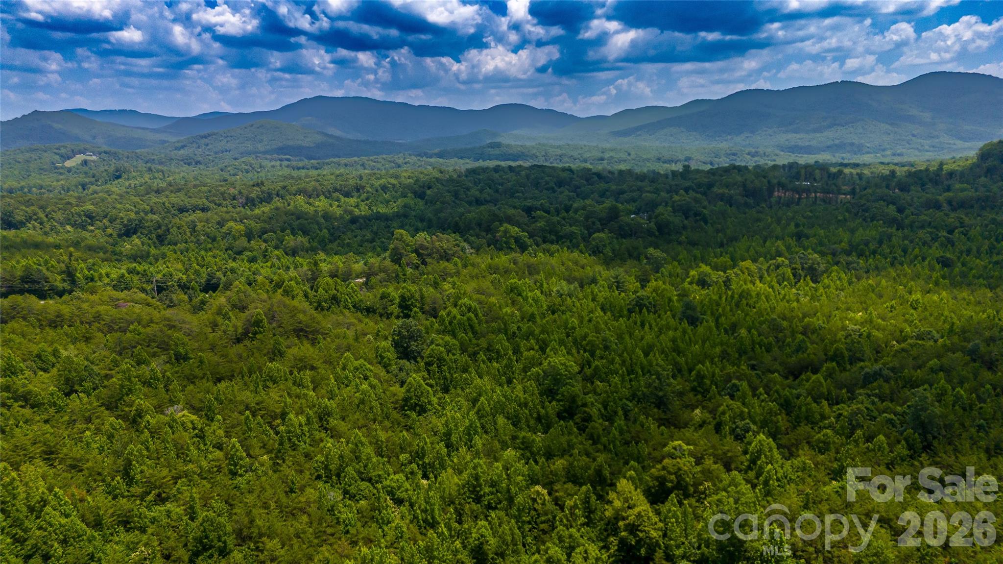 Acreage at 0 Gold Mine Road, Morganton, photo 2 of 21