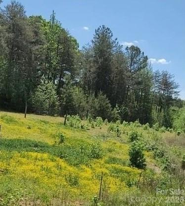 Farm at 2195 Otis Dellinger Road, Lincolnton, photo 2 of 10