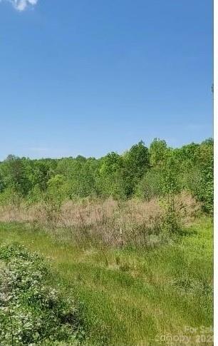 Farm at 2195 Otis Dellinger Road, Lincolnton, photo 8 of 10