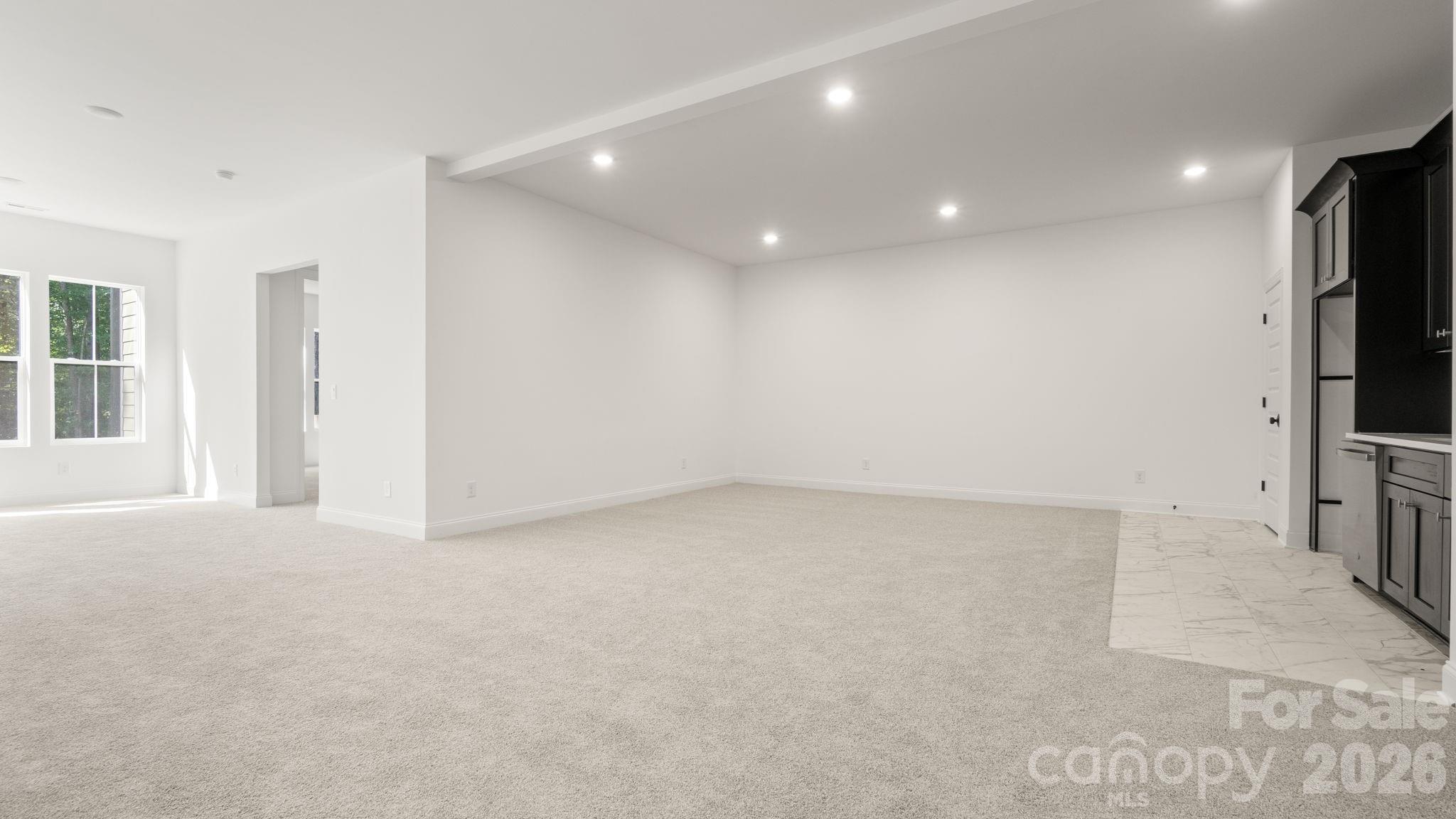 Basement Kitchenette and living room space - 6774 Kingfisher Court, Denver