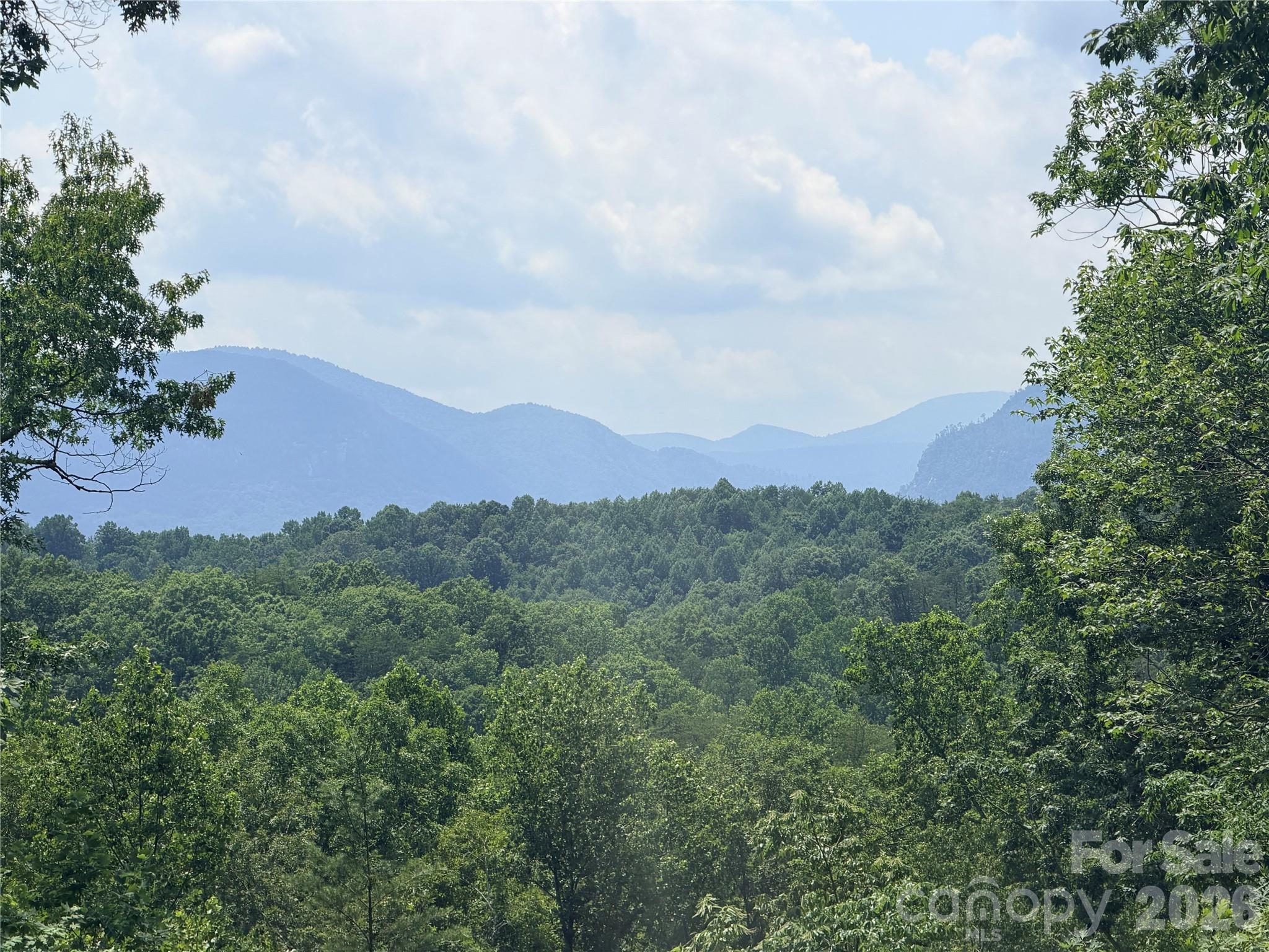 Lot at 0 Rock Ledge Drive, Lake Lure, photo 2 of 14